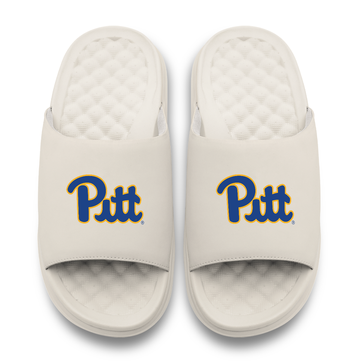 Pitt Panthers Primary Motive 17