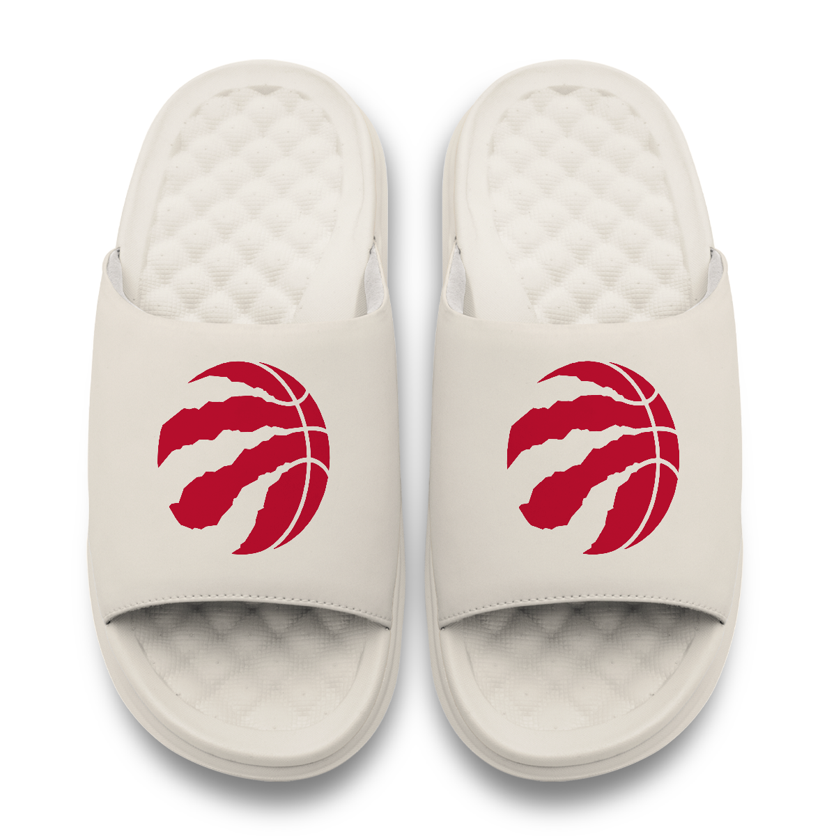 Toronto Raptors Primary Motive 17
