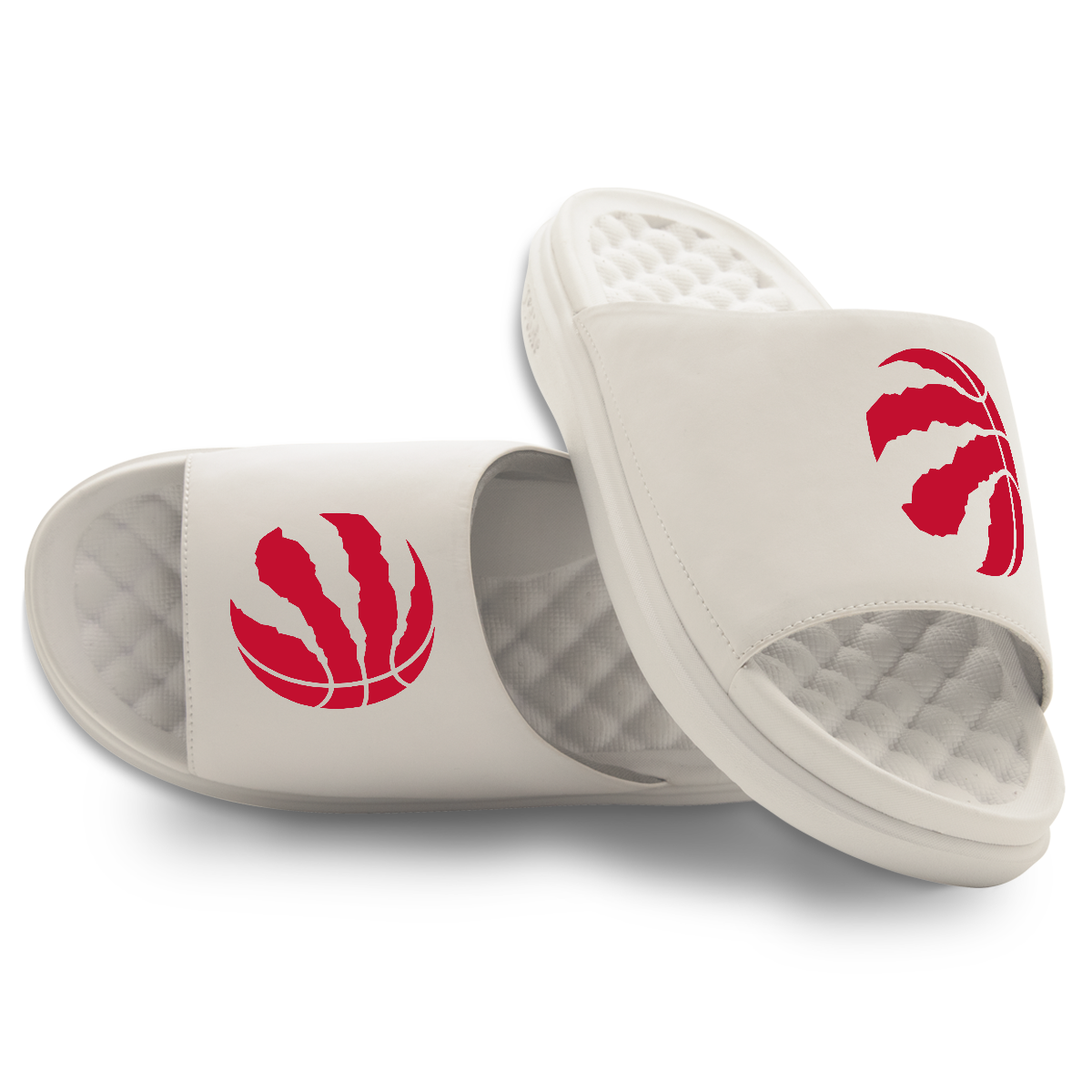 Toronto Raptors Primary Motive 16