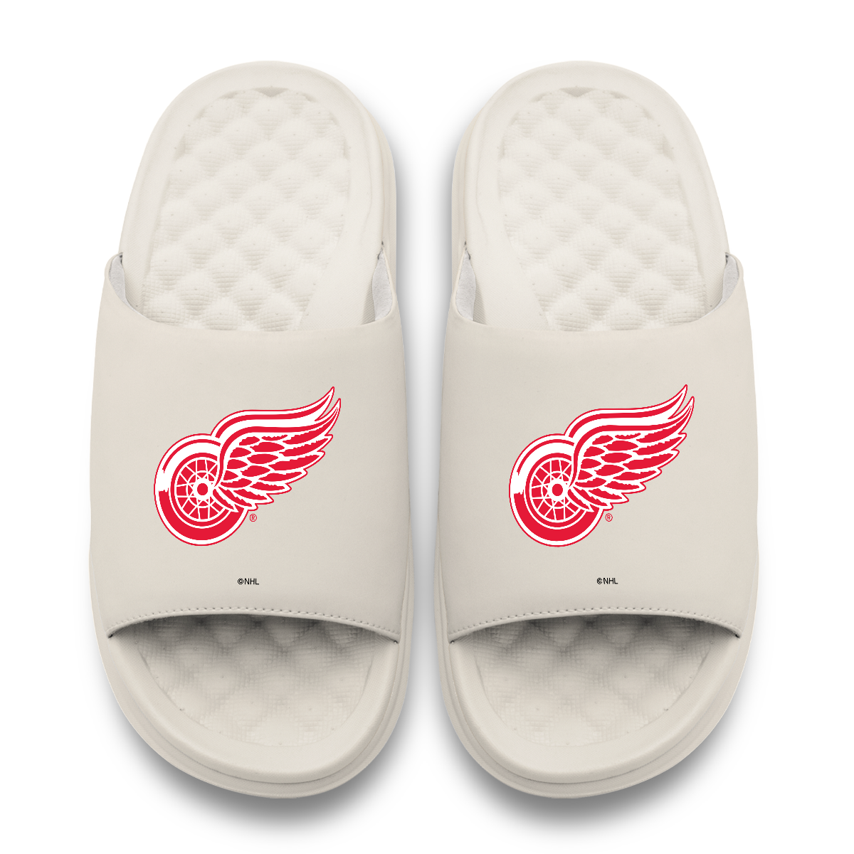 Detroit Red Wings Primary Motive 17