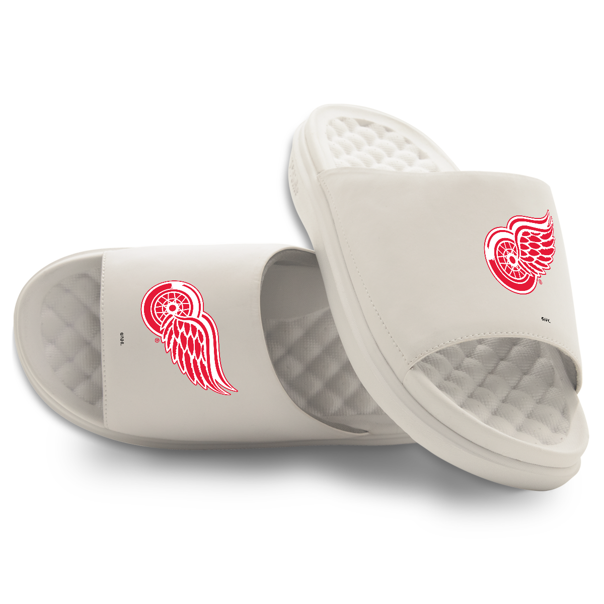 Detroit Red Wings Primary Motive 16