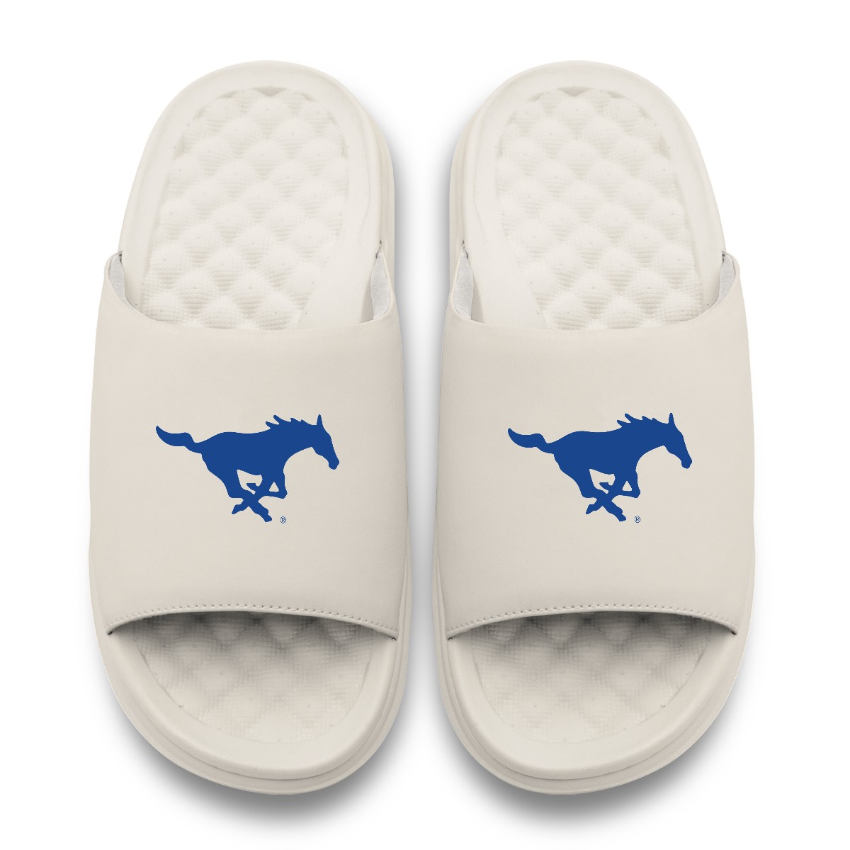 SMU Mustangs Primary Motive 17