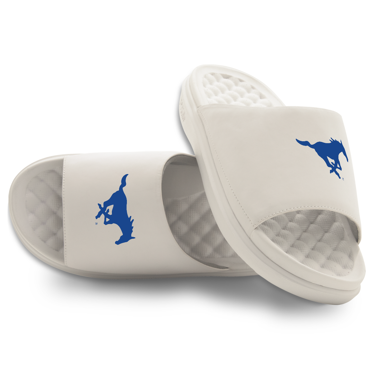 SMU Mustangs Primary Motive 16