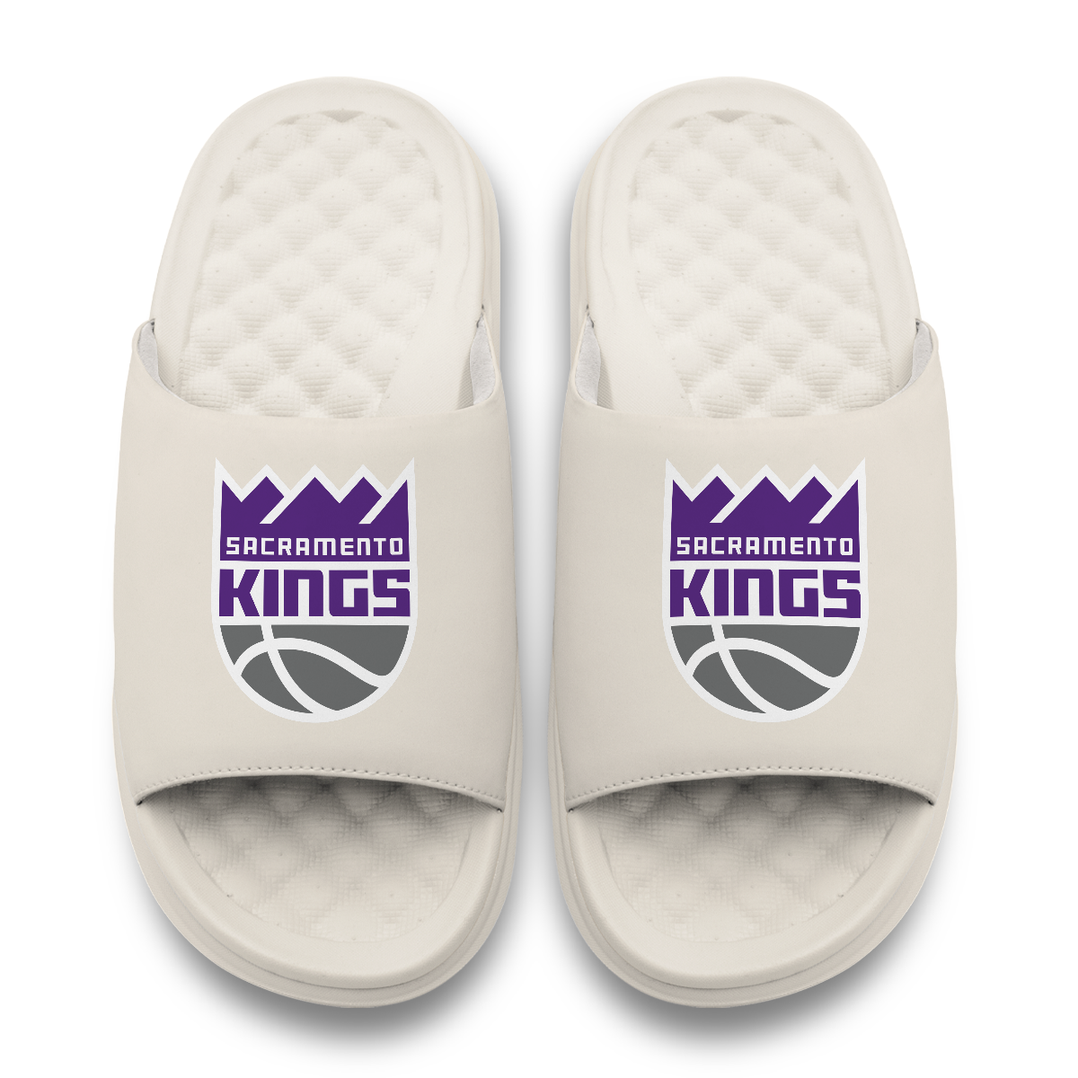 Sacramento Kings Primary Motive 17