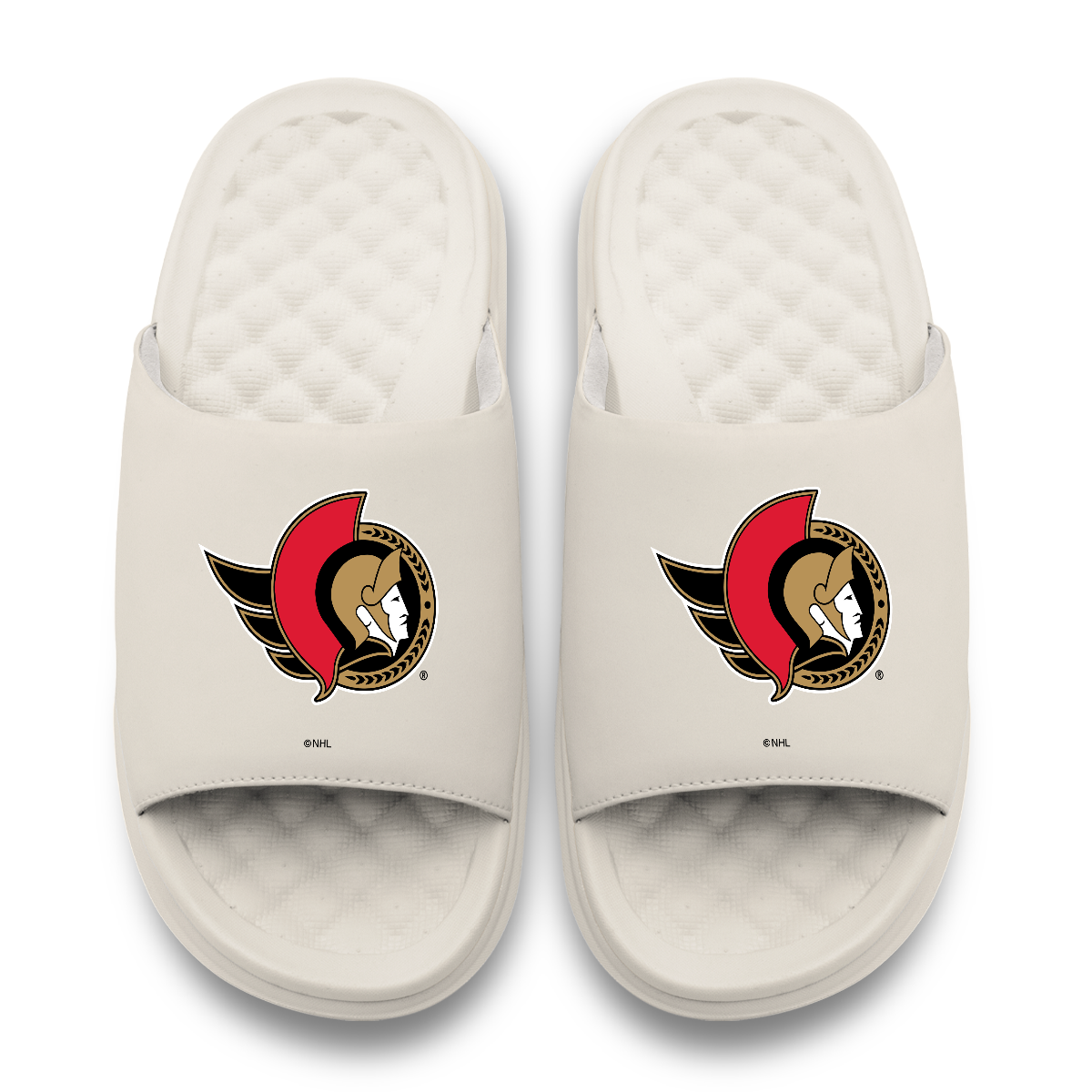 Ottawa Senators Primary Motive 17