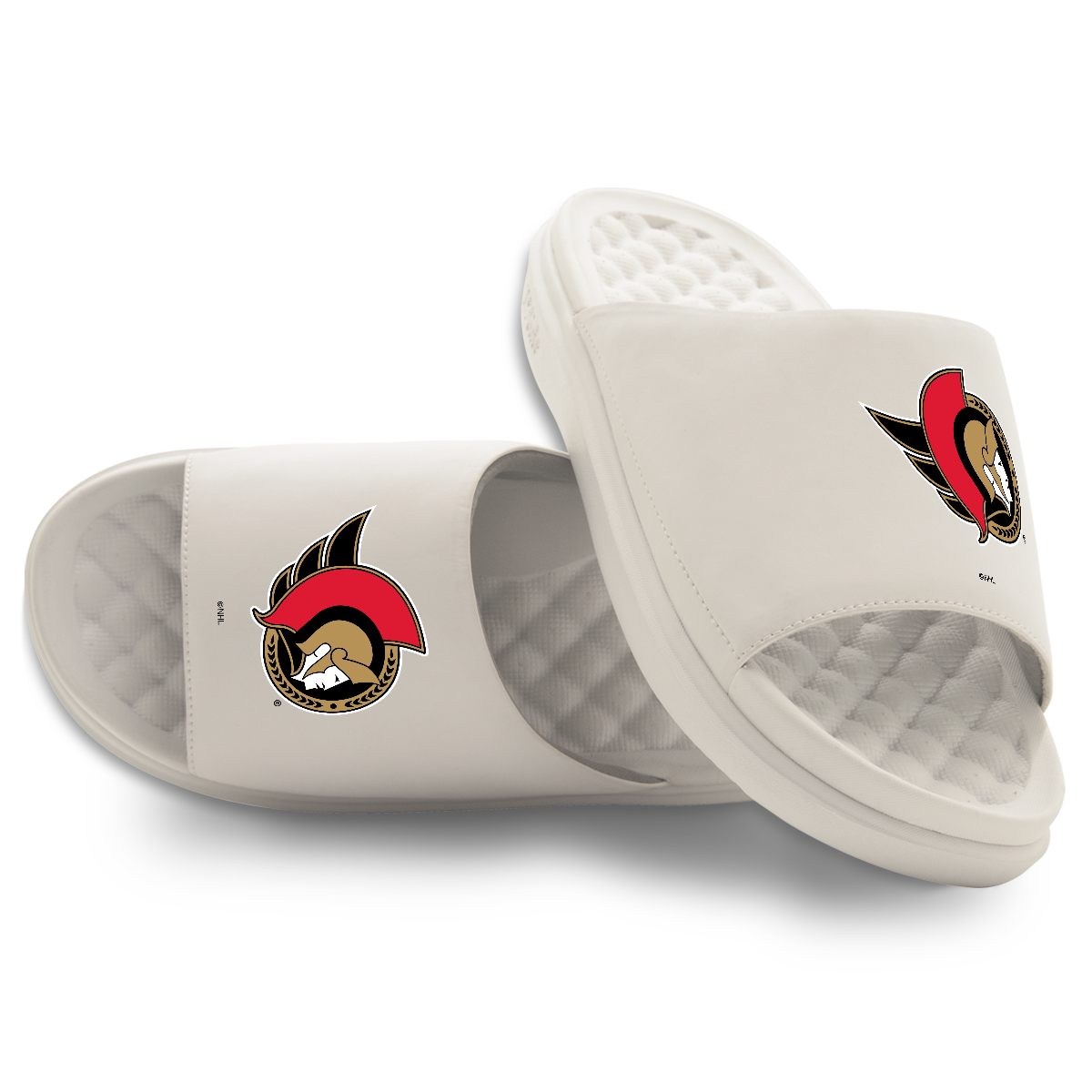 Ottawa Senators Primary Motive 16