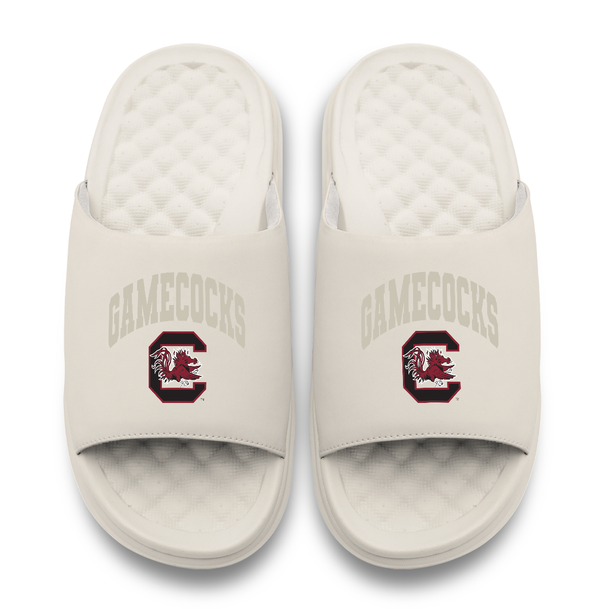 South Carolina Gamecocks Tonal Pop Motive 5