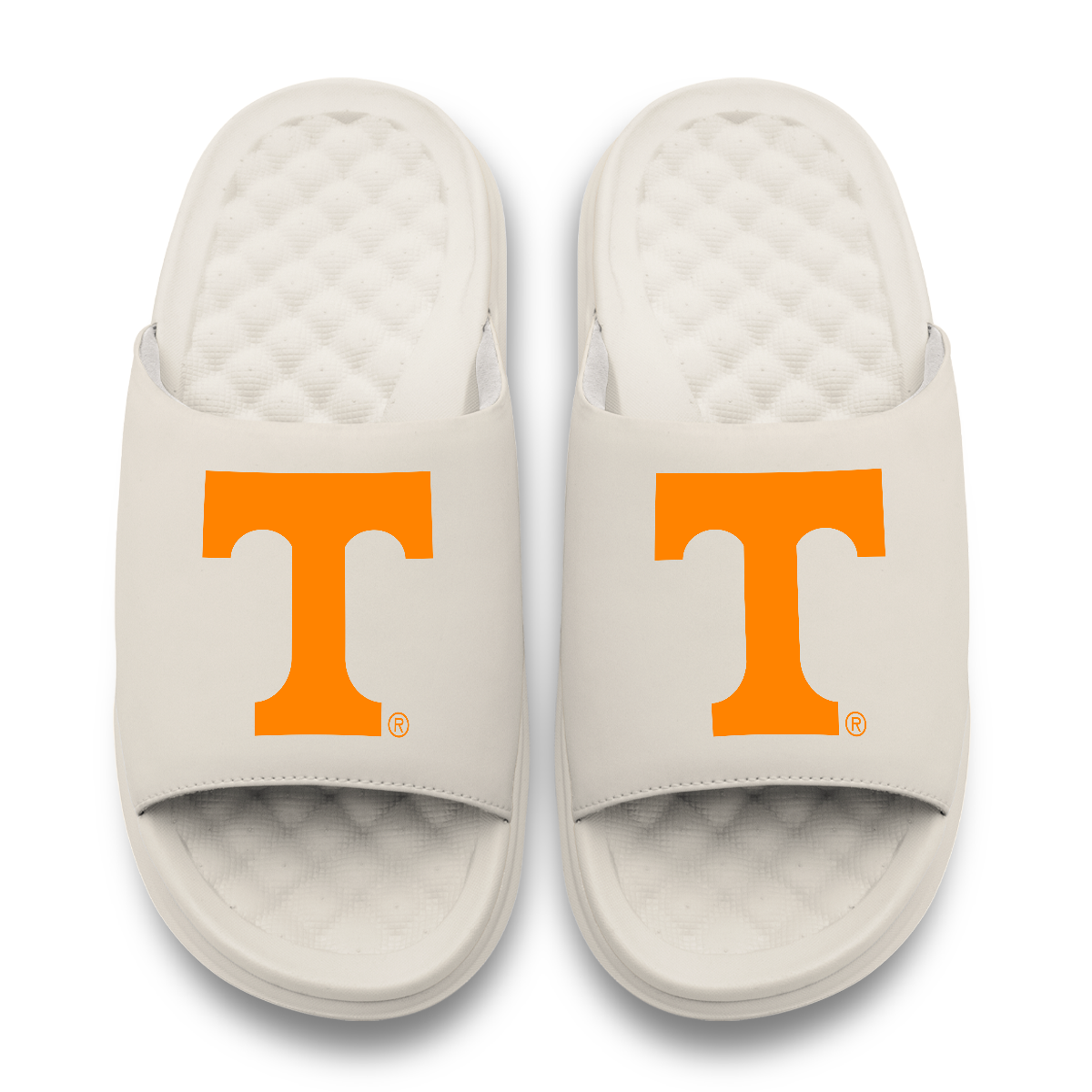 Tennessee Volunteers Primary Motive 17
