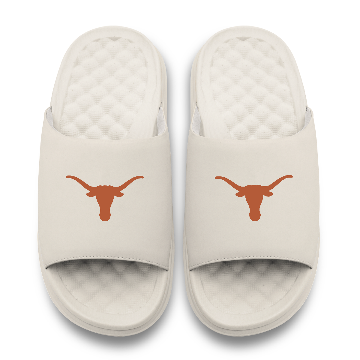 Texas Longhorns Primary Motive 17