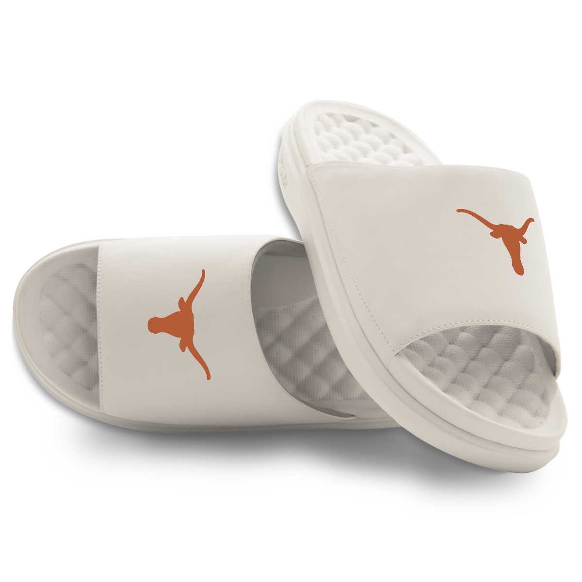 Texas Longhorns Primary Motive 16