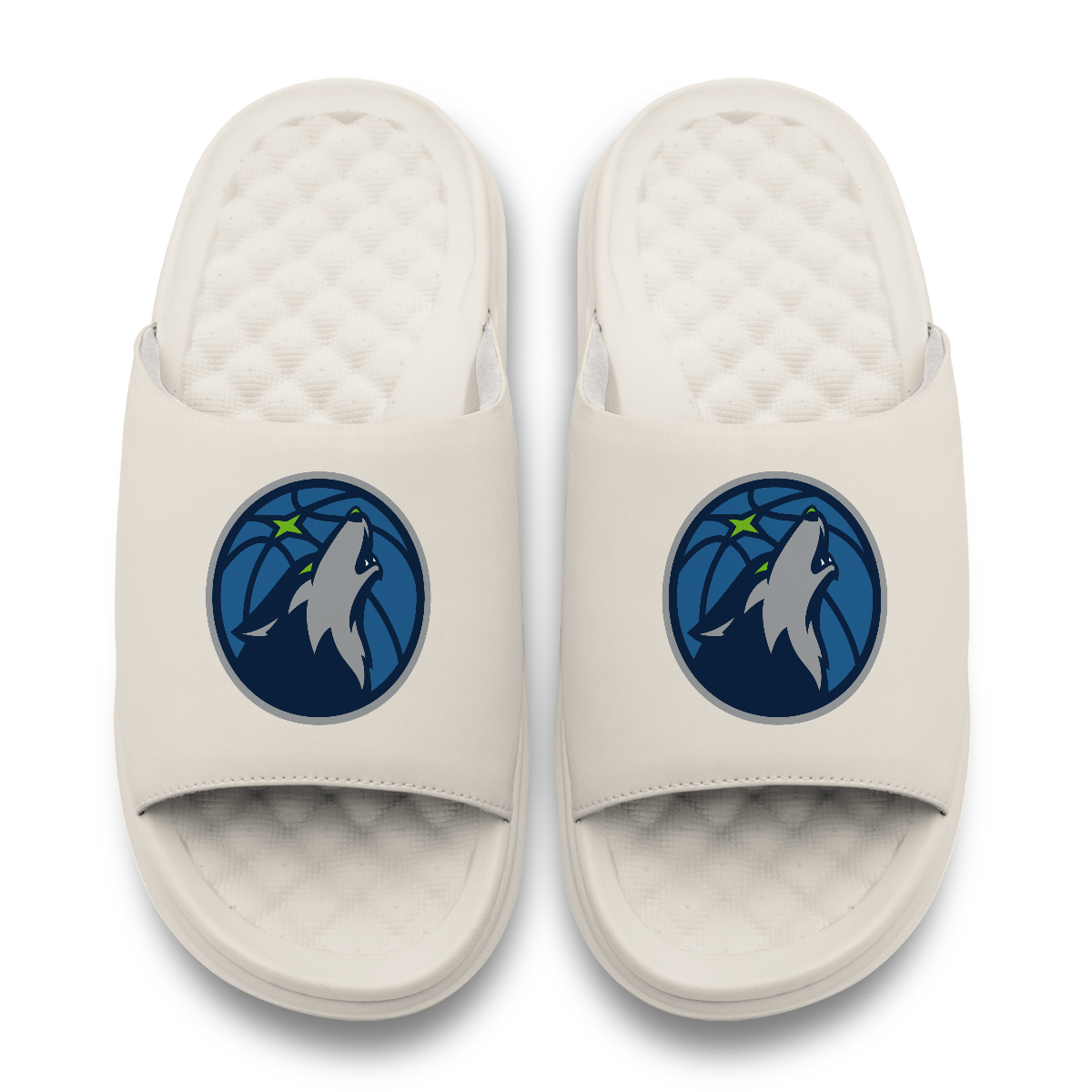 Minnesota Timberwolves Primary Motive 17