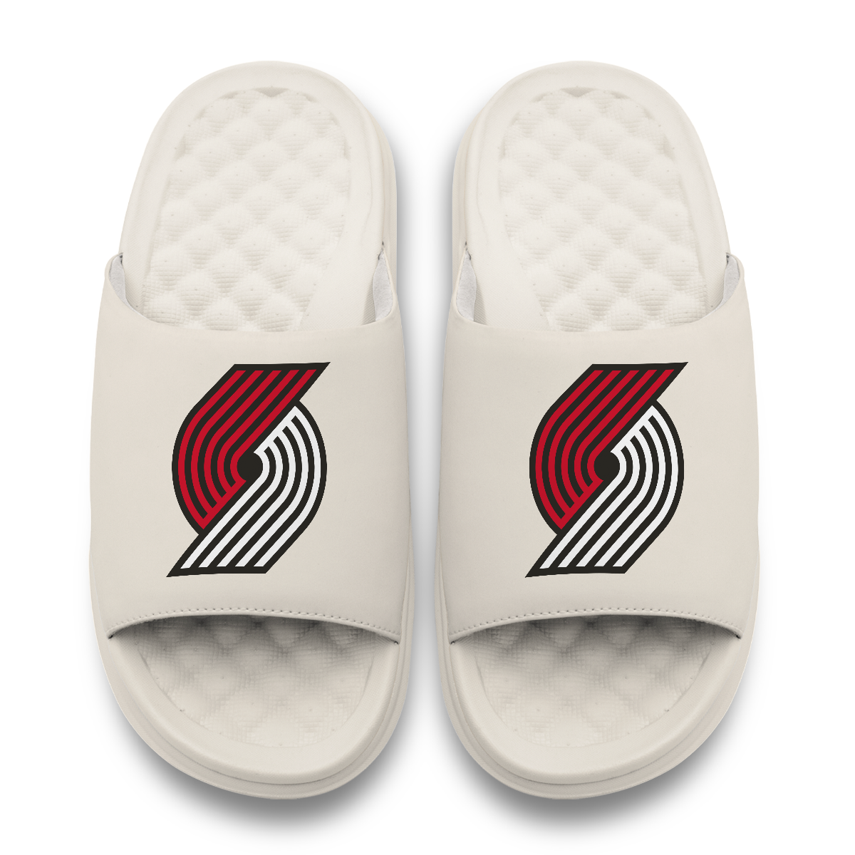 Portland Trail Blazers Primary Motive 17