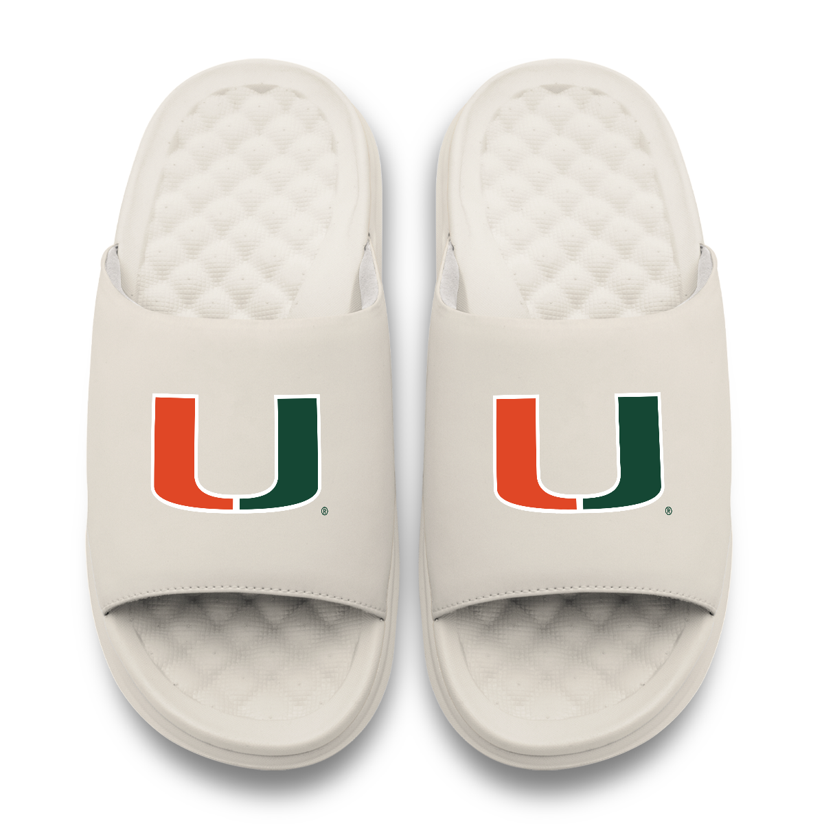 Miami Hurricanes Primary Motive 17