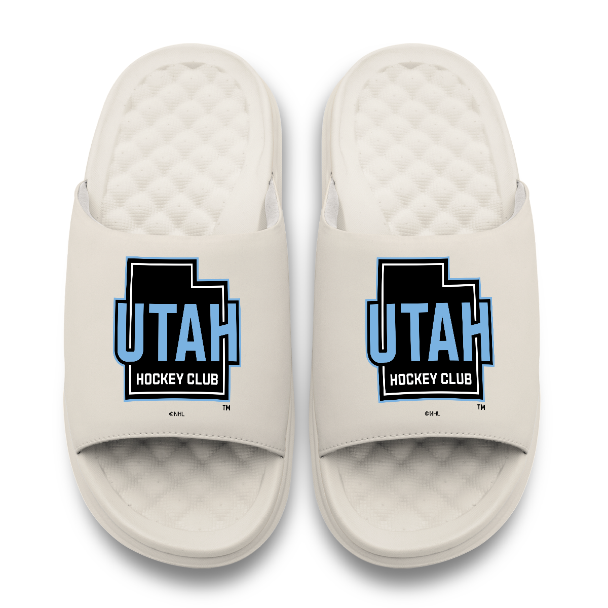 Utah Hockey Club Primary Motive 17