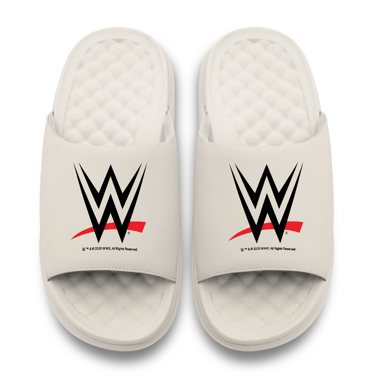 WWE Logo Motive 17