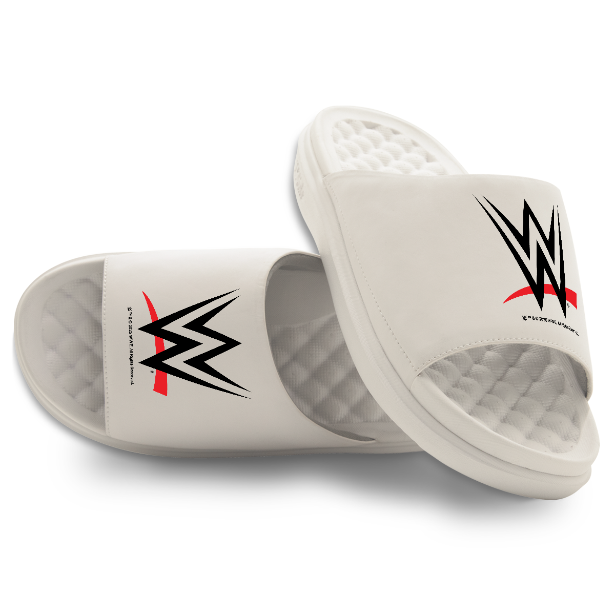 WWE Logo Motive 16