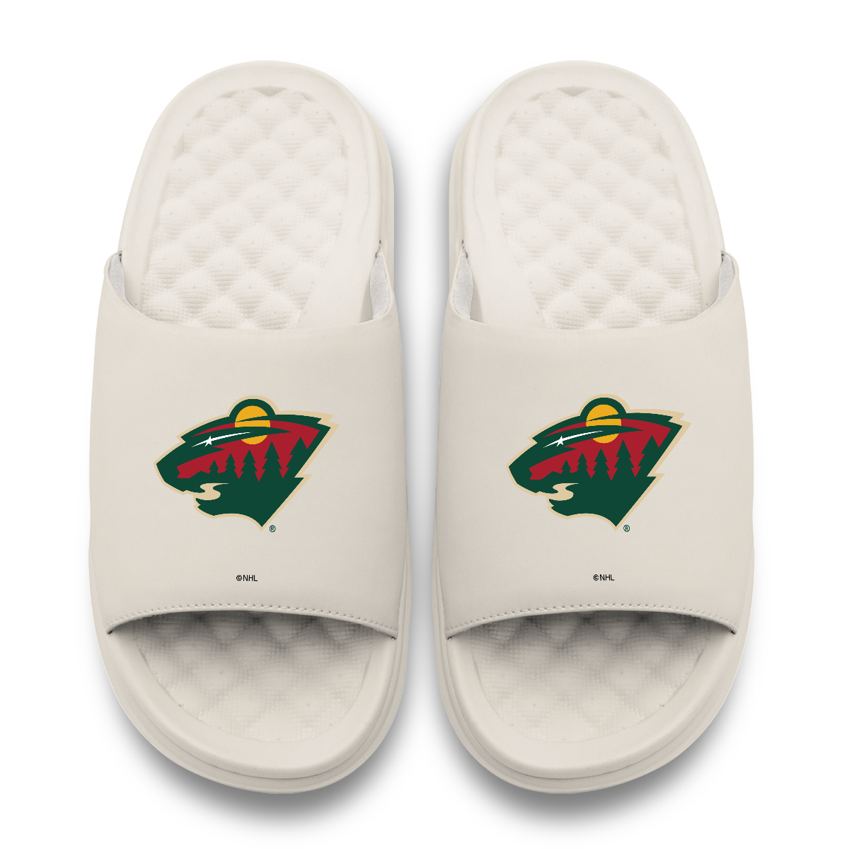 Minnesota Wild Primary Motive 17