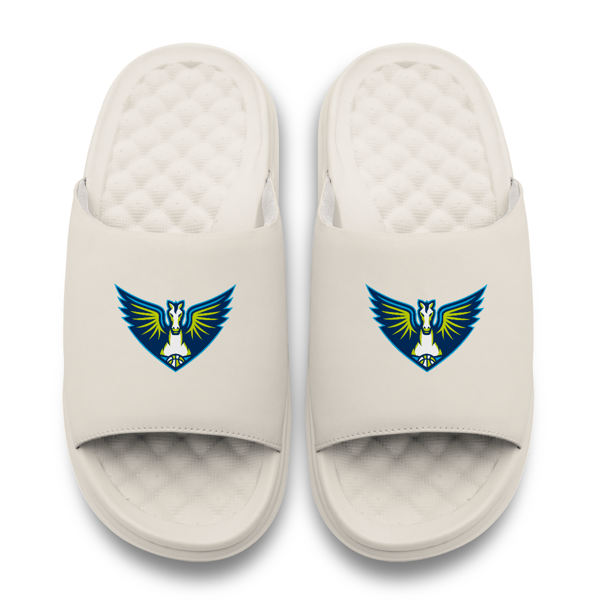 Dallas Wings Primary Motive 17