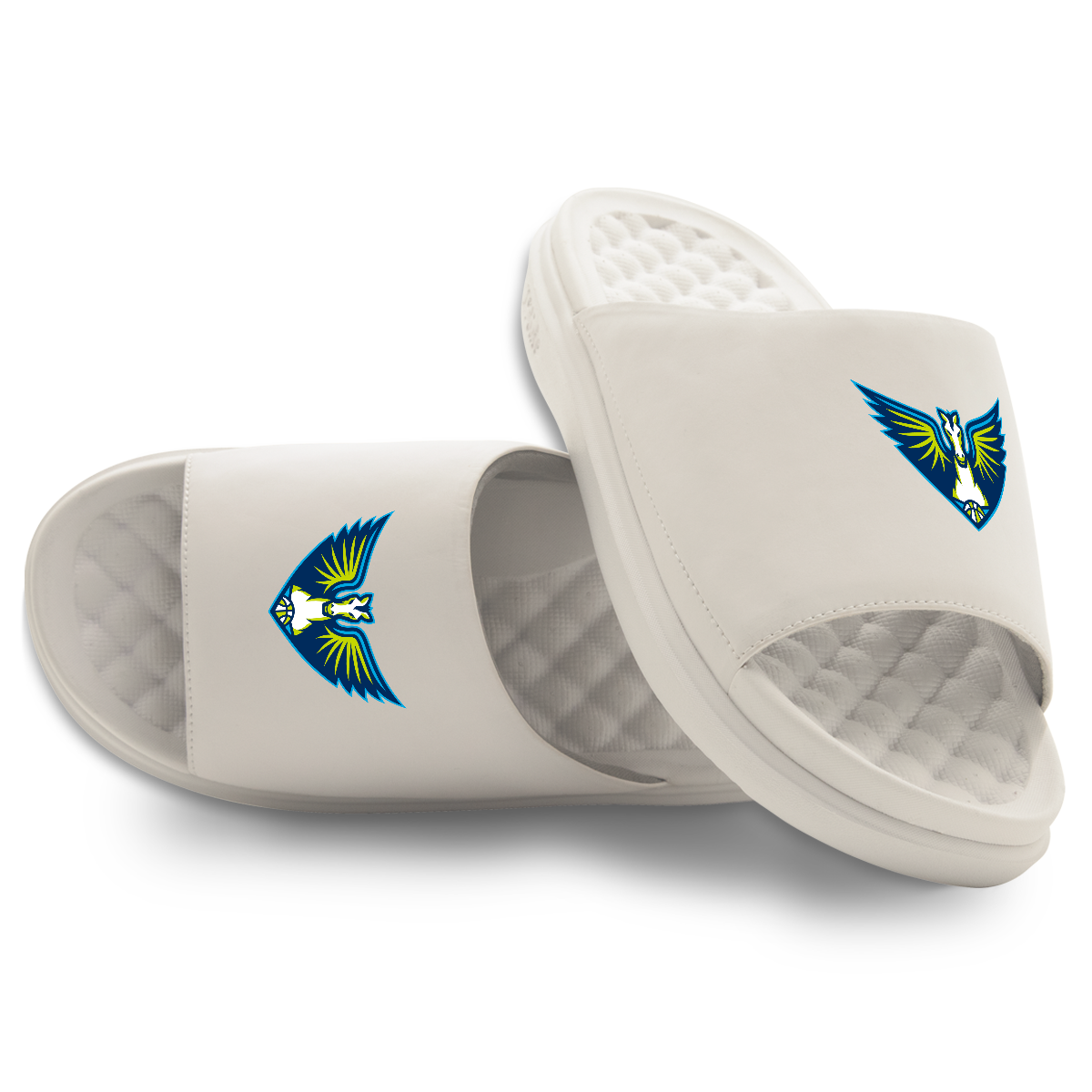 Dallas Wings Primary Motive 16