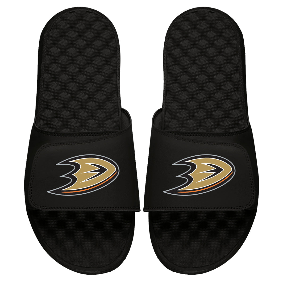 Anaheim Ducks Primary Slides 3
