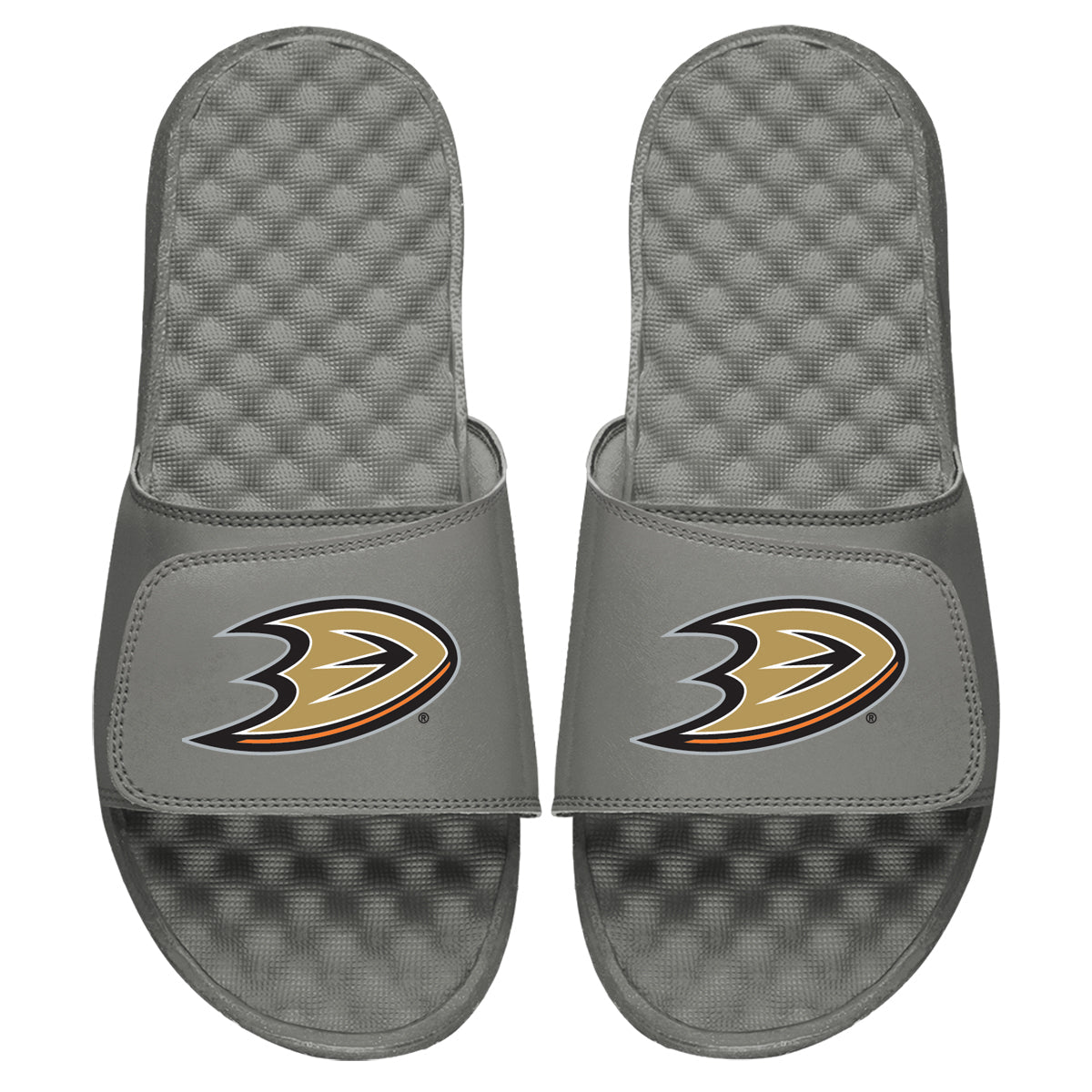 Anaheim Ducks Primary Slides 4