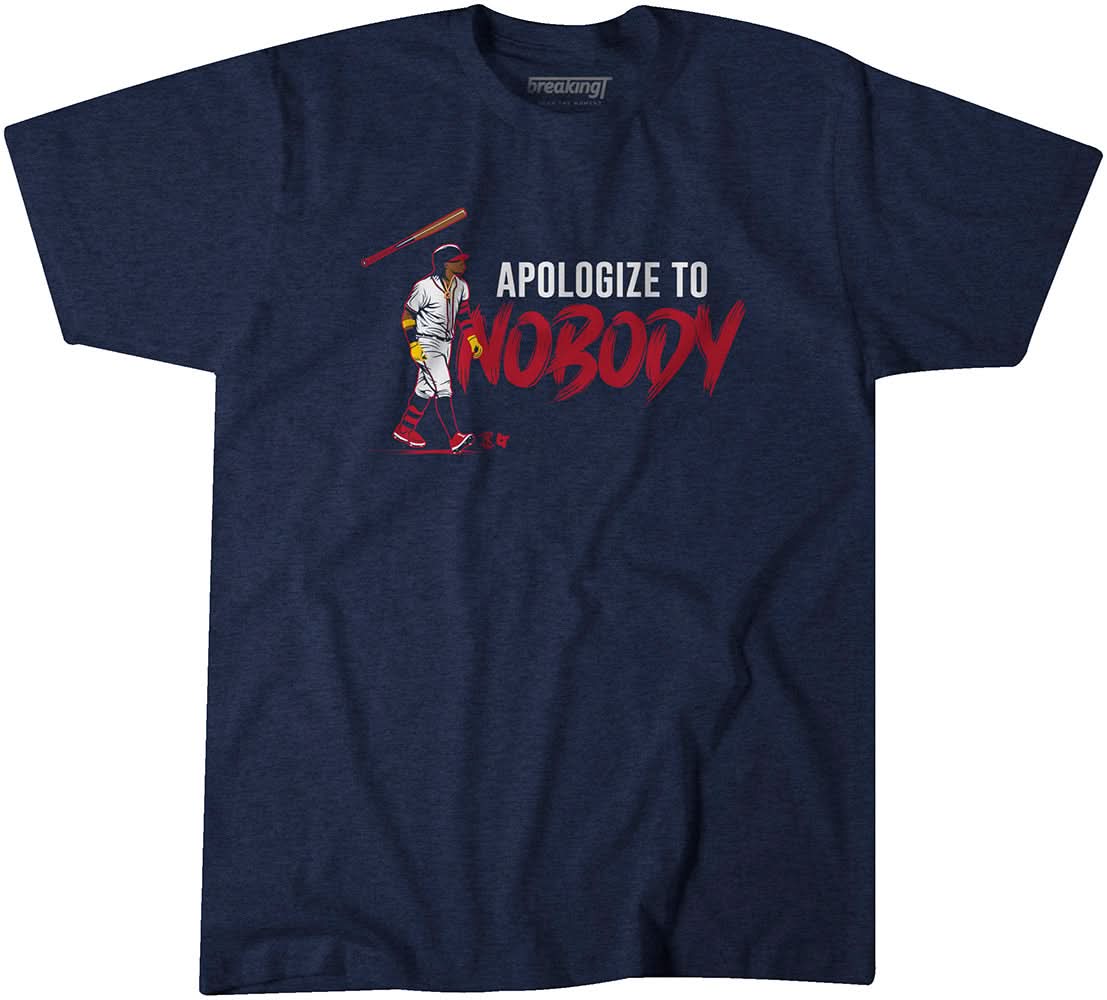 Apologize to Nobody 1