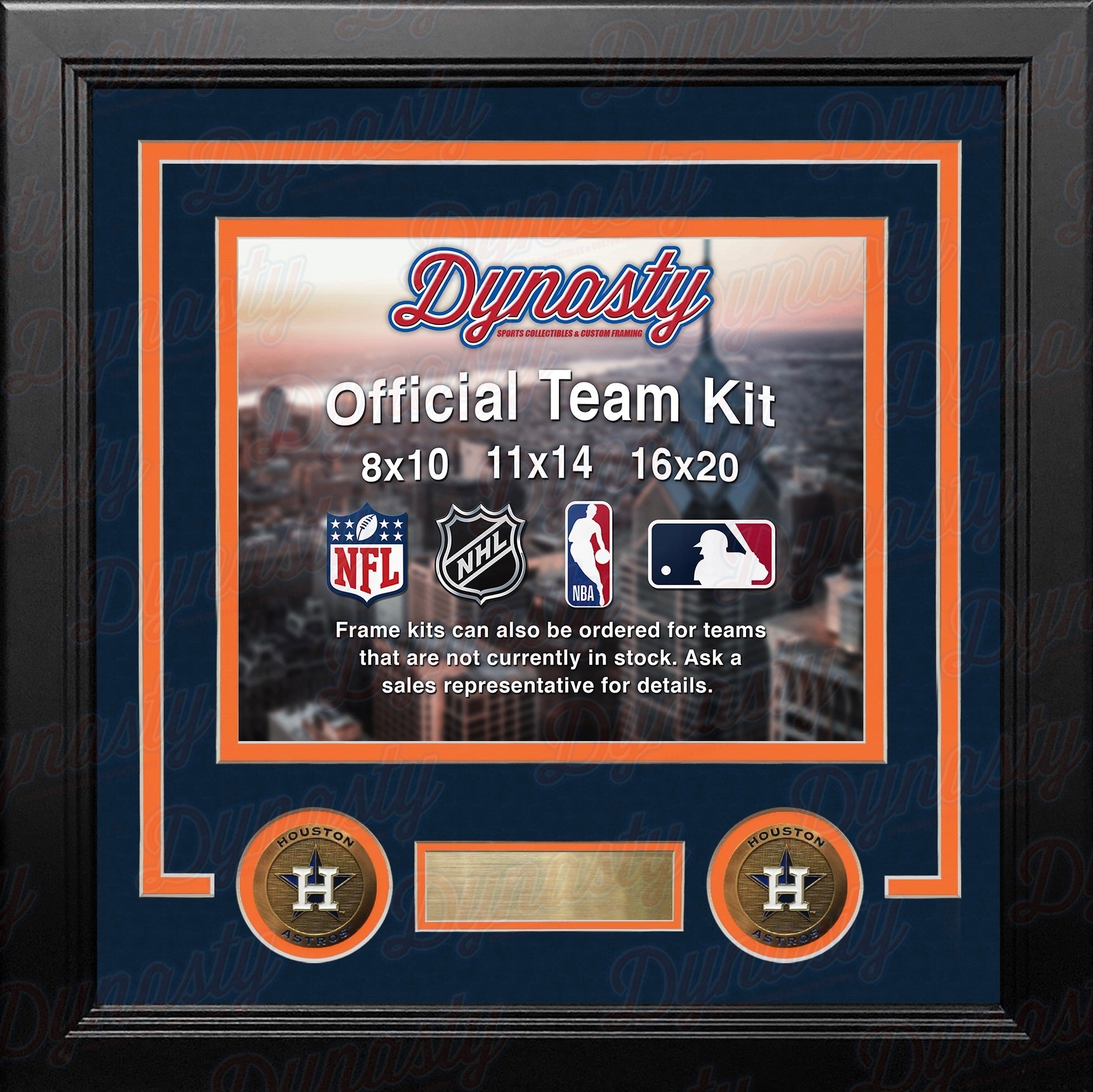 Houston Astros Custom MLB Baseball 16x20 Picture Frame Kit (Multiple Colors) 1