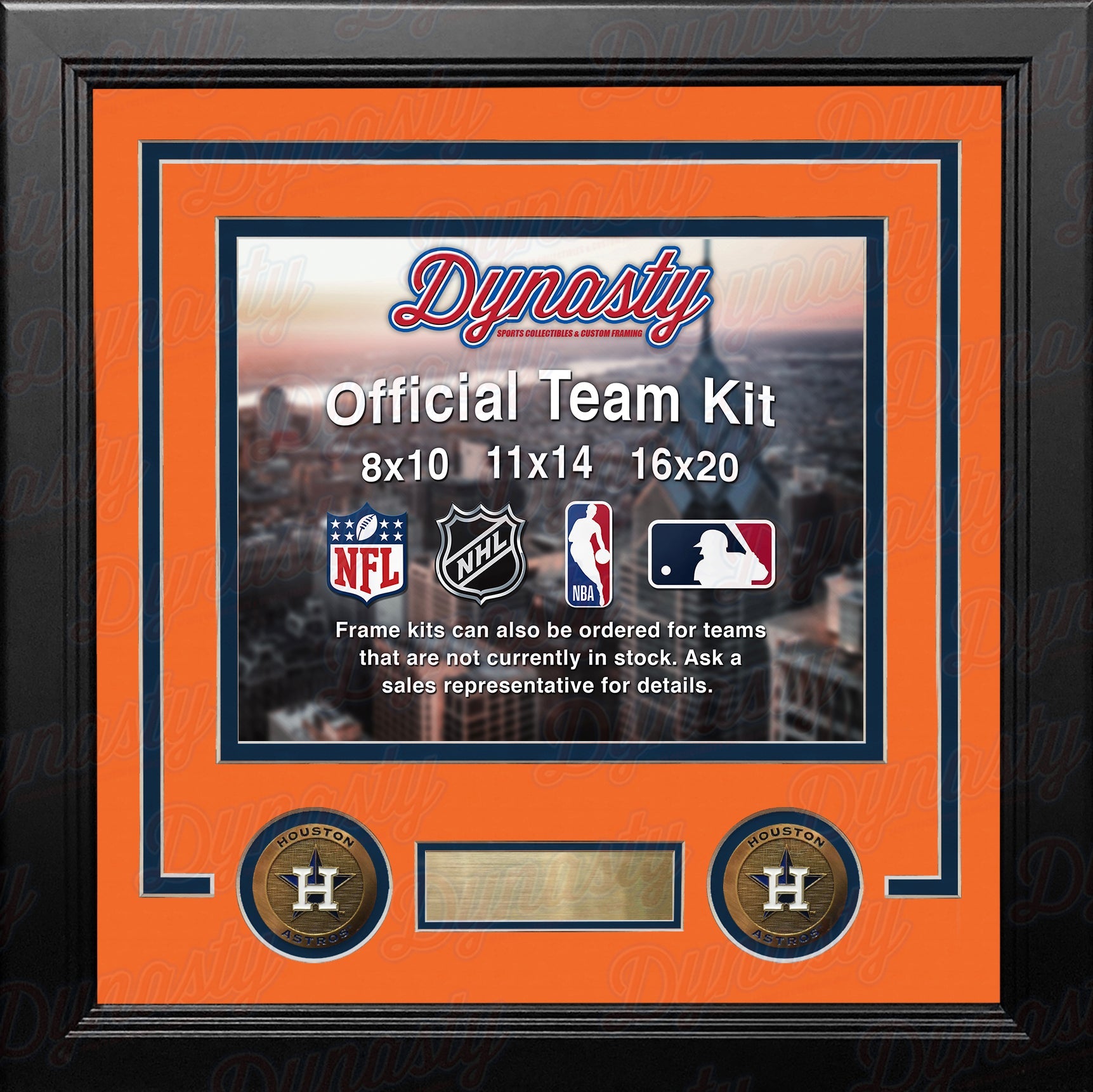 Houston Astros Custom MLB Baseball 16x20 Picture Frame Kit (Multiple Colors) 3