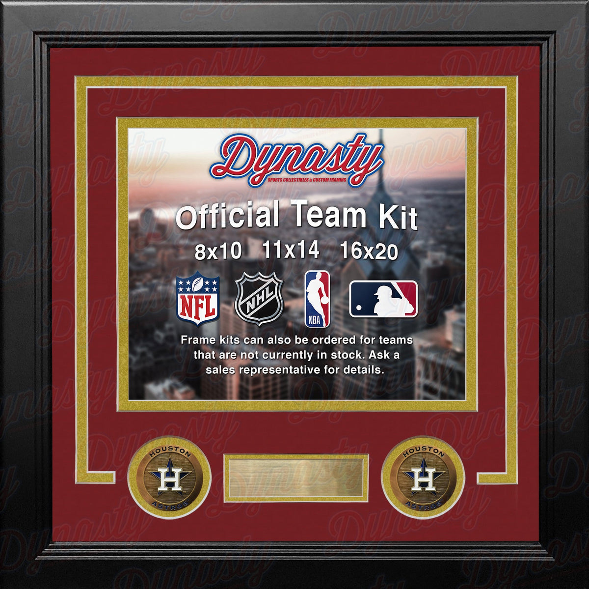 MLB Baseball Photo Picture Frame Kit - Houston Astros (Brick Red Matting, Gold Trim) 1