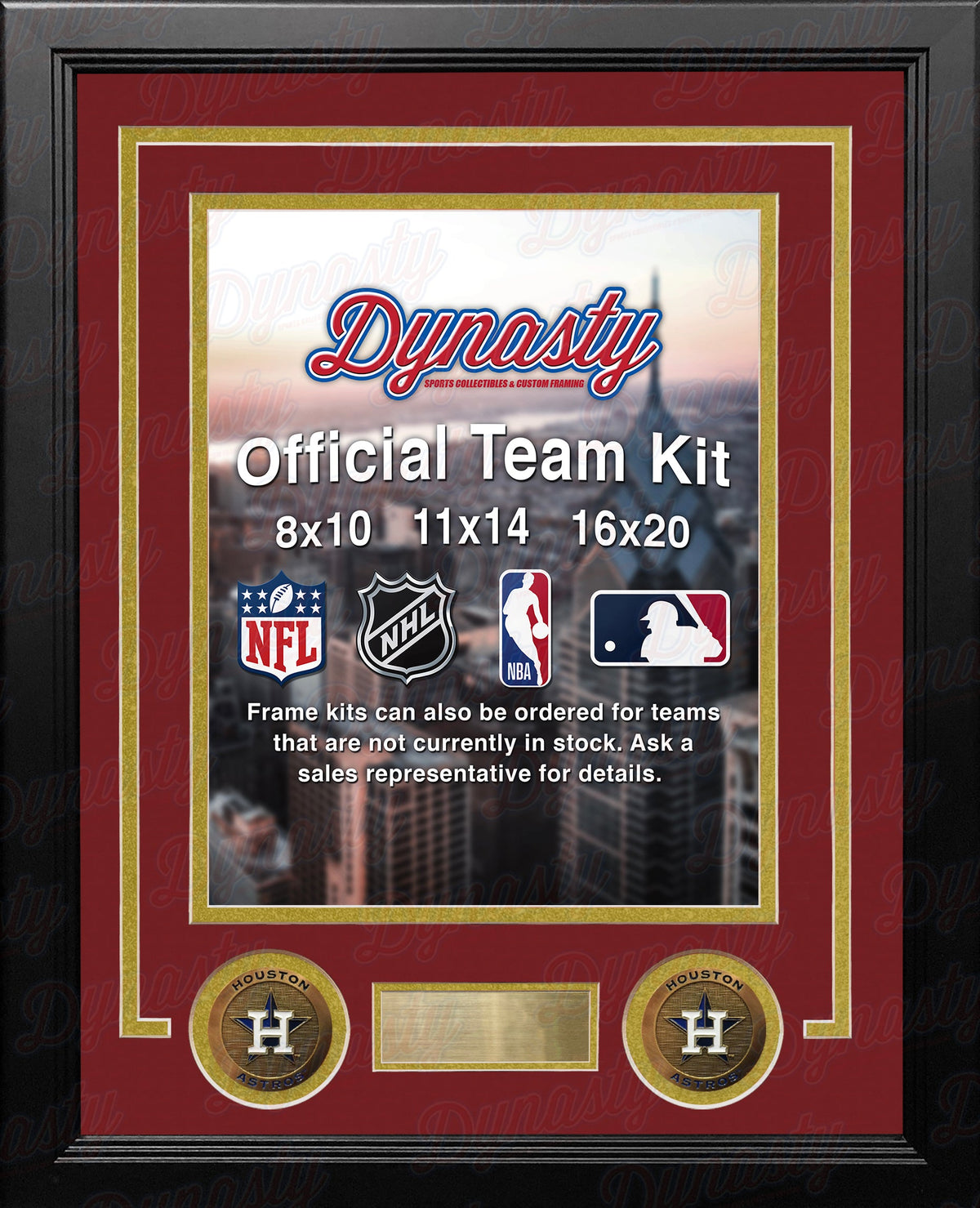 MLB Baseball Photo Picture Frame Kit - Houston Astros (Brick Red Matting, Gold Trim) 2