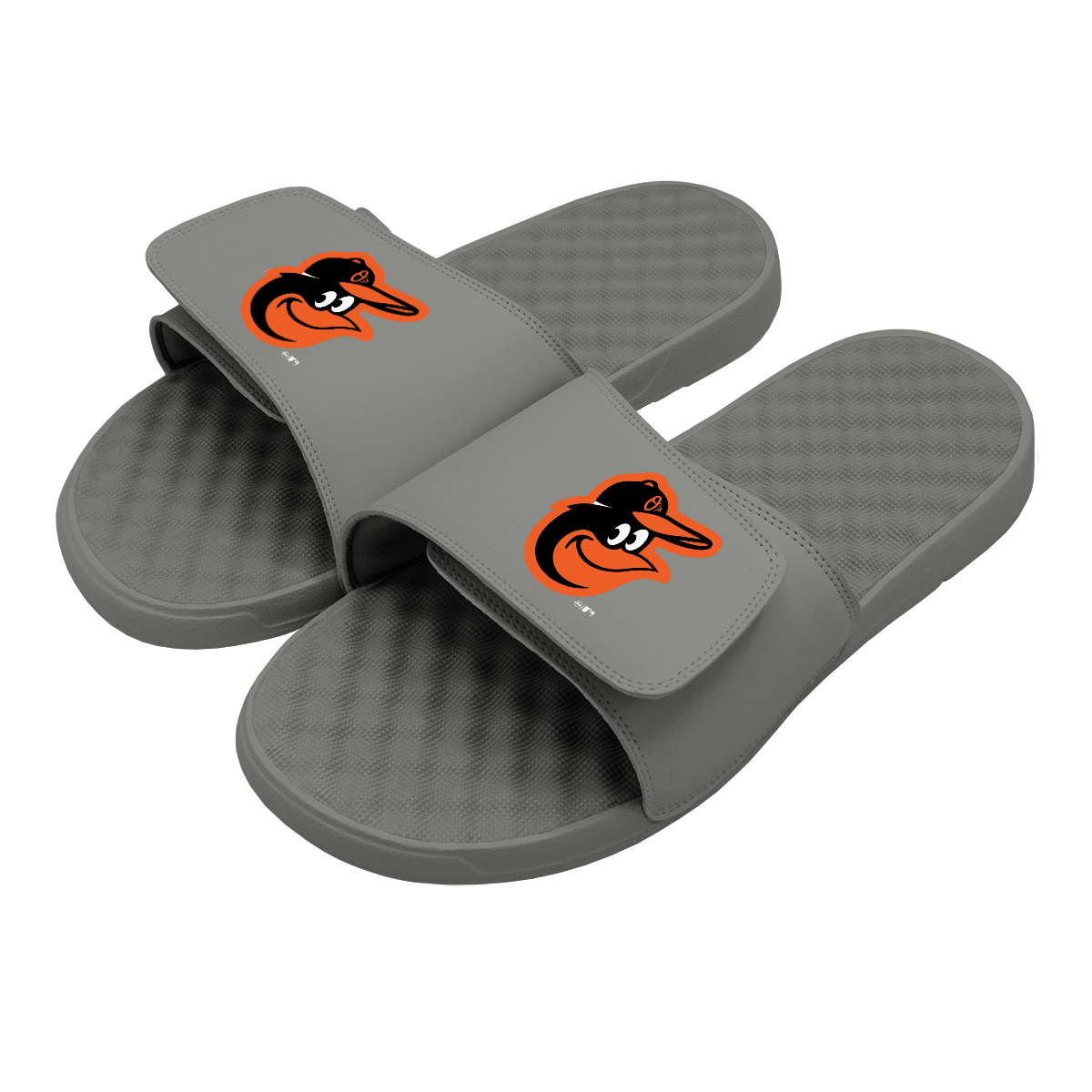 Baltimore Orioles Primary Slides 2