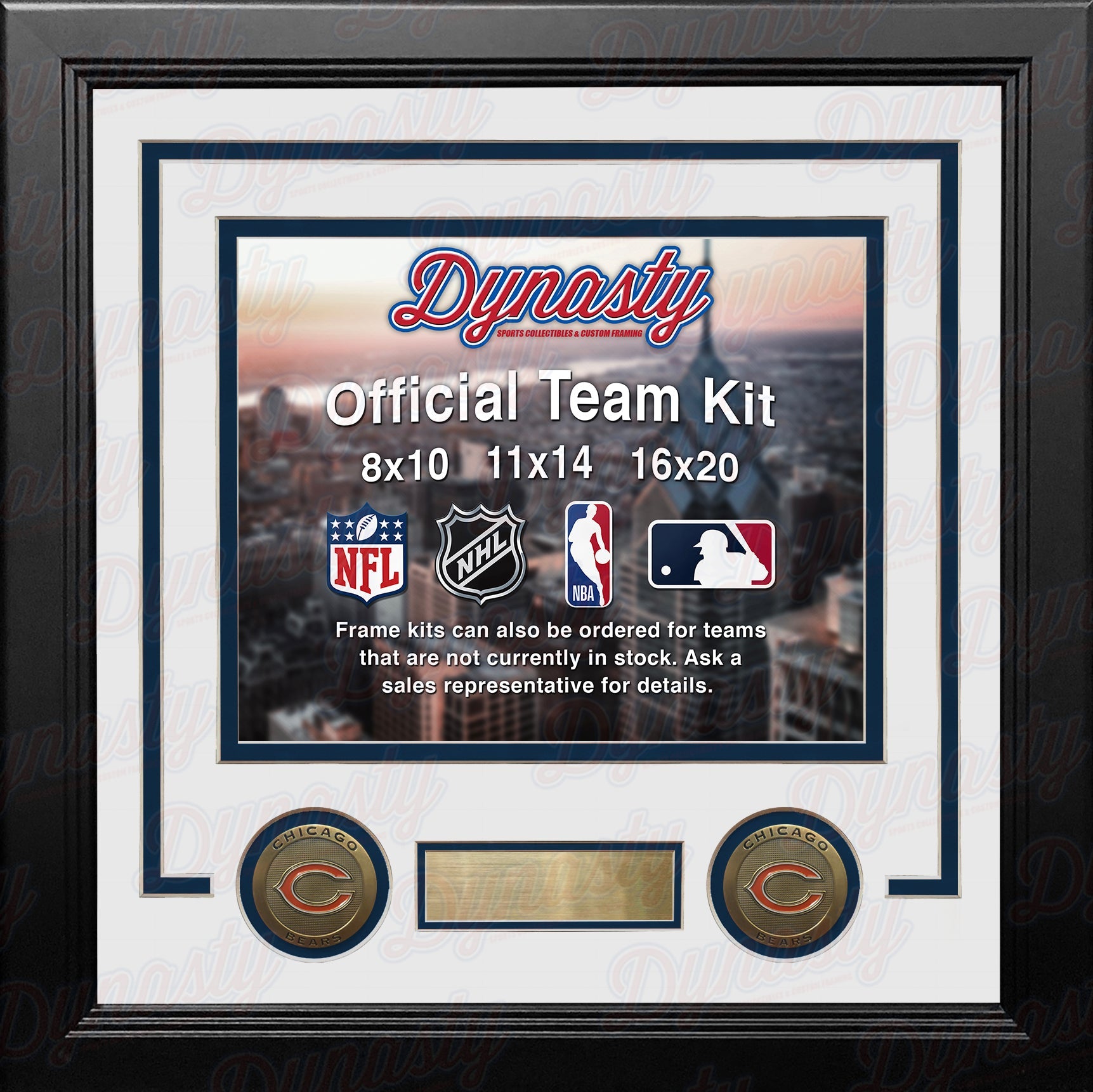 Chicago Bears Custom NFL Football 16x20 Picture Frame Kit (Multiple Colors) 3