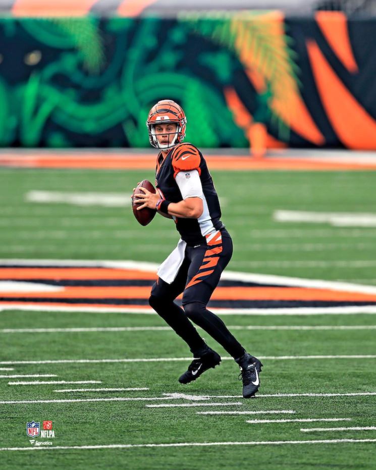 Joe Burrow in Action Cincinnati Bengals 8" x 10" Football Photo