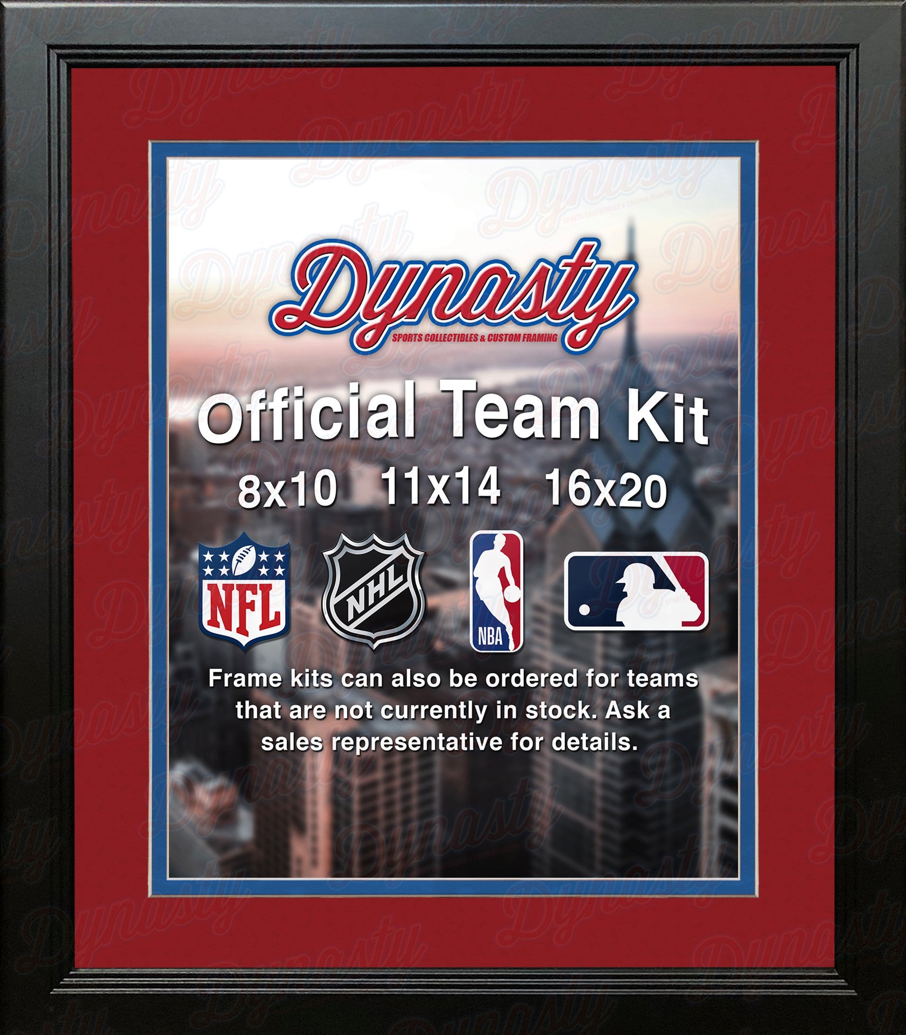 NBA Basketball Photo Picture Frame Kit - Detroit Pistons (Red Matting, Blue Trim) 2