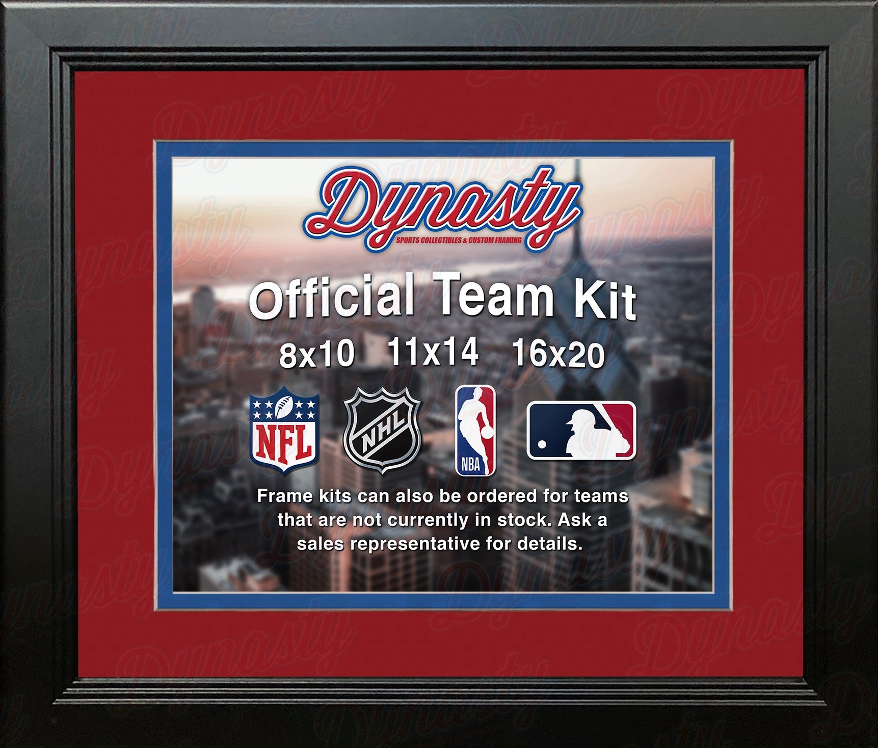 NBA Basketball Photo Picture Frame Kit - Detroit Pistons (Red Matting, Blue Trim) 1