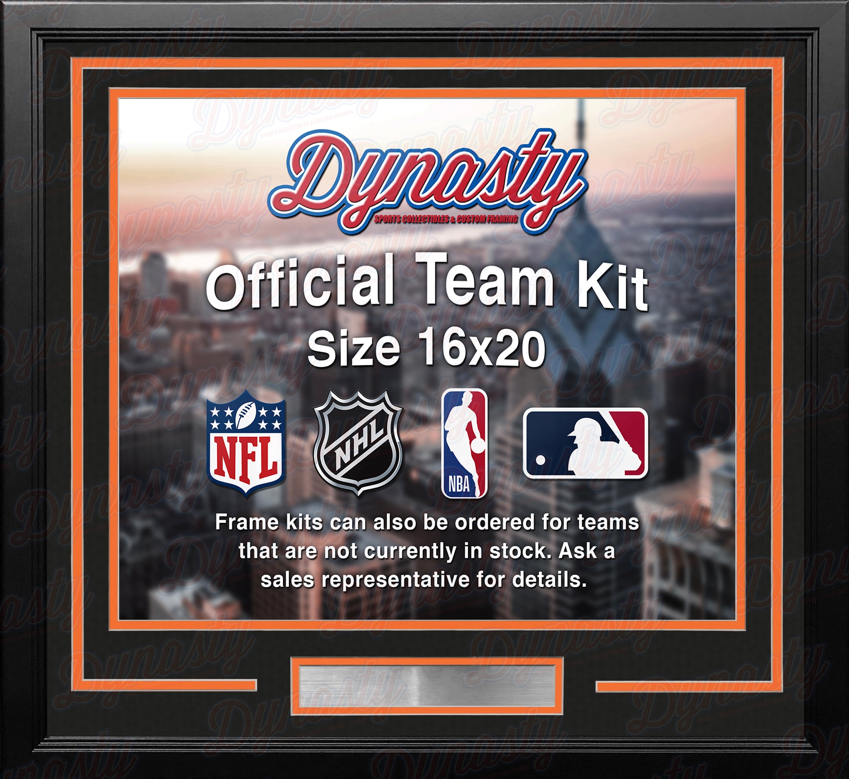 Phoenix Suns Custom NBA Basketball 16x20 Picture Frame Kit (Multiple Colors) 3