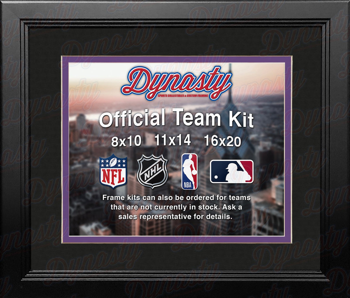 NBA Basketball Photo Picture Frame Kit - Sacramento Kings (Black Matting, Purple Trim)