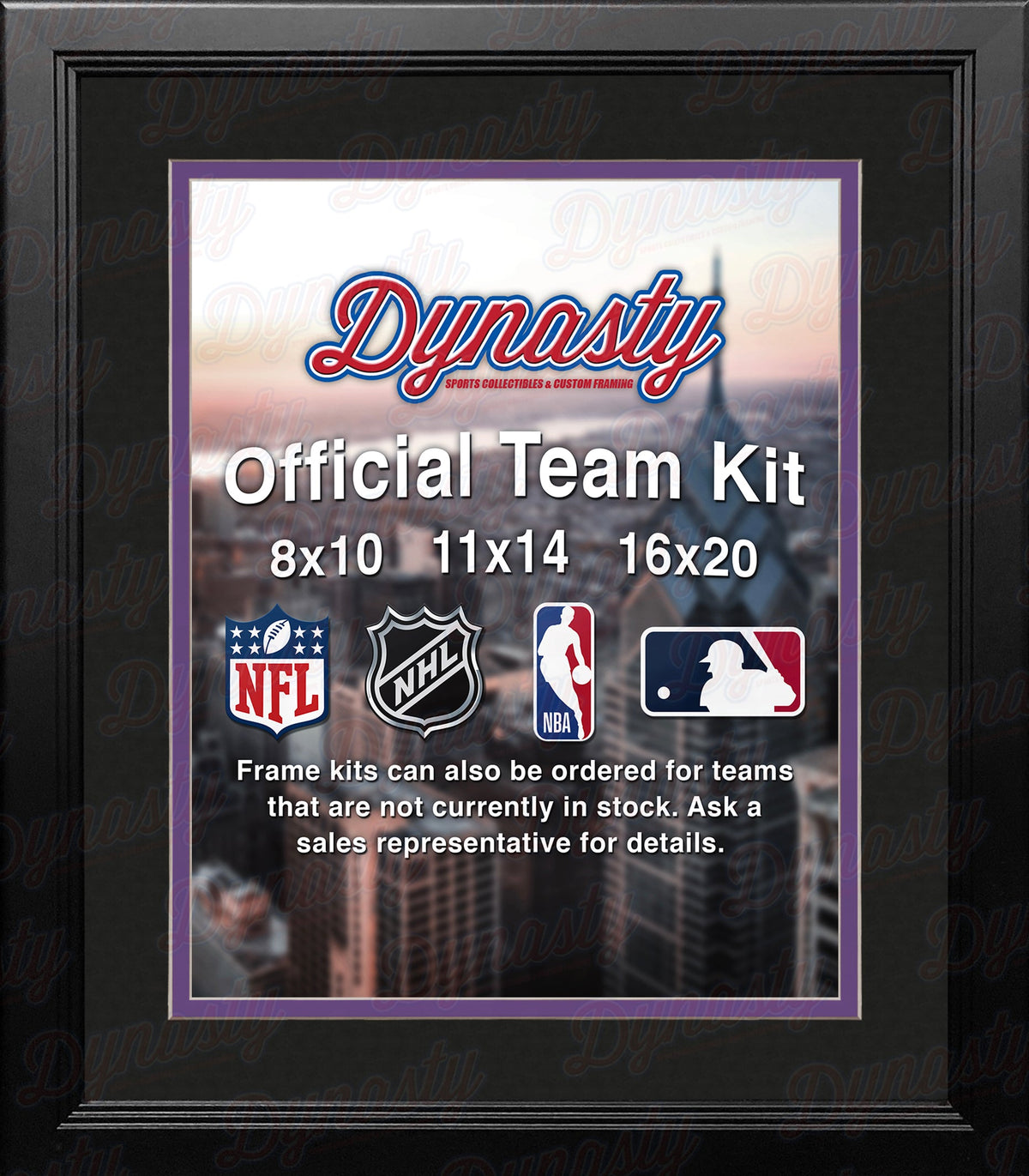 NBA Basketball Photo Picture Frame Kit - Sacramento Kings (Black Matting, Purple Trim)