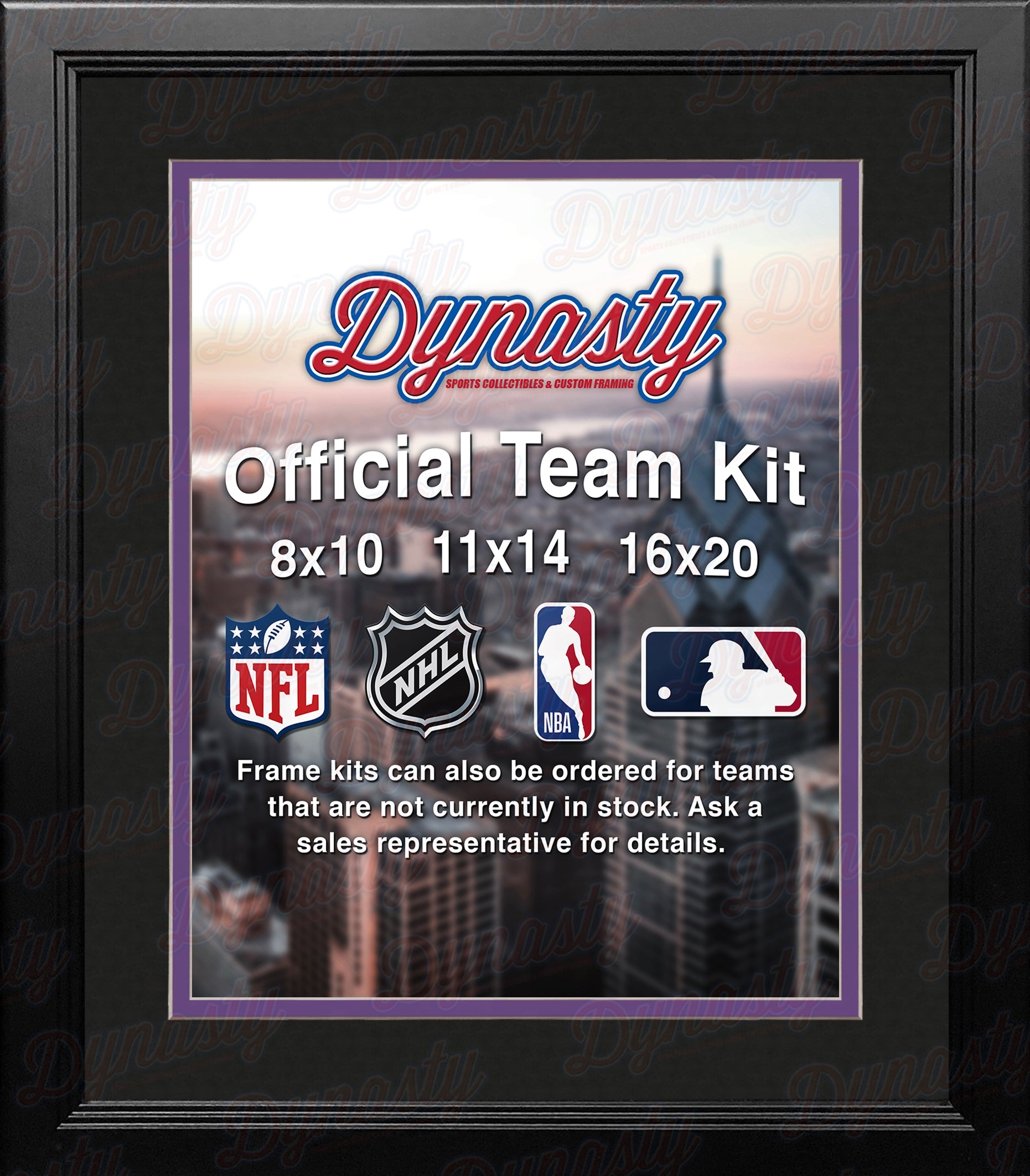 NHL Hockey Photo Picture Frame Kit - Los Angeles Kings (Black Matting, Purple Trim)