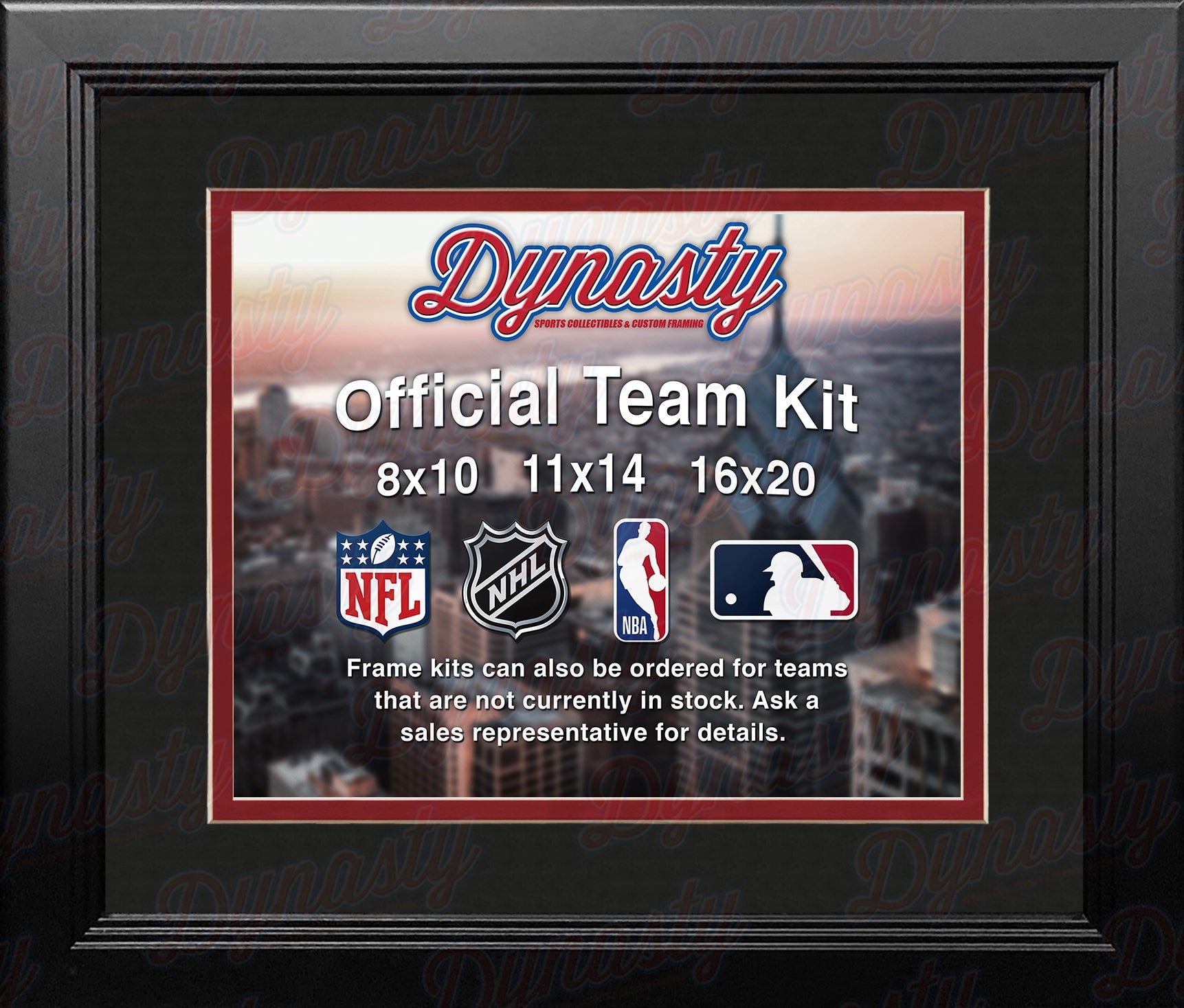 Atlanta Falcons Custom NFL Football 11x14 Picture Frame Kit (Multiple Colors)