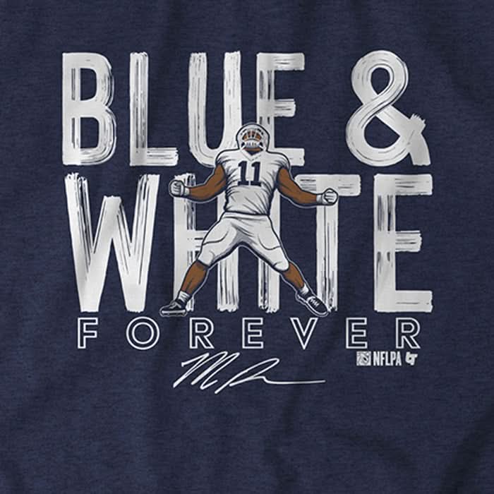 Blue and White 4