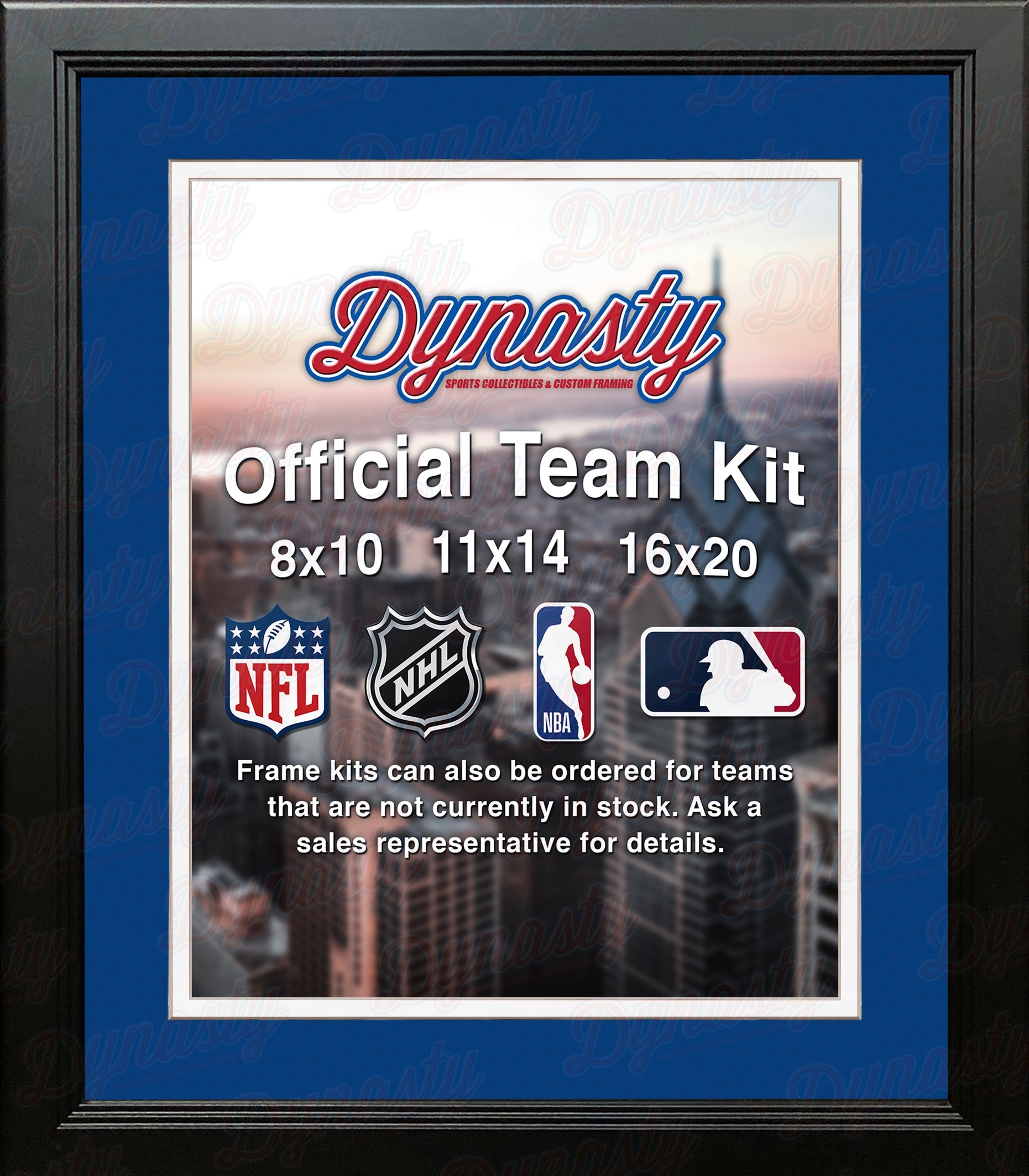NBA Basketball Photo Picture Frame Kit - Charlotte Hornets (Blue Matting, White Trim) 2