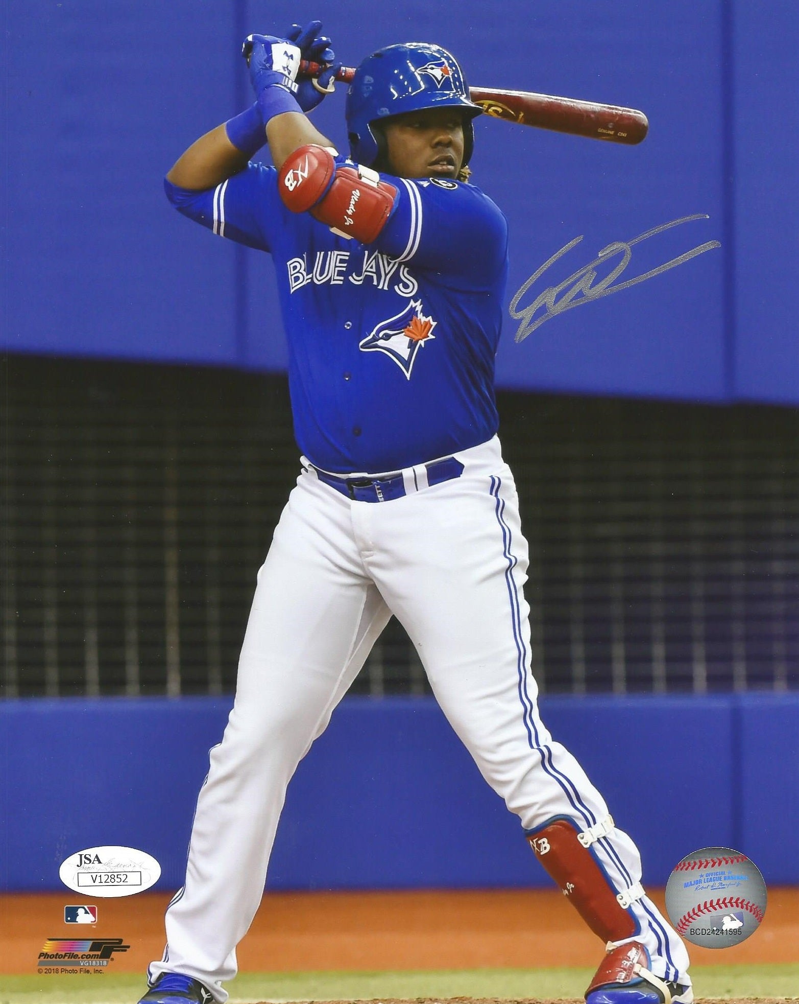 Vladimir Guerrero, Jr. At-Bat Toronto Blue Jays Autographed Baseball Photo 1