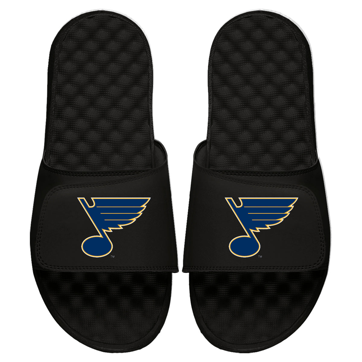 St Louis Blues Primary Slides 3