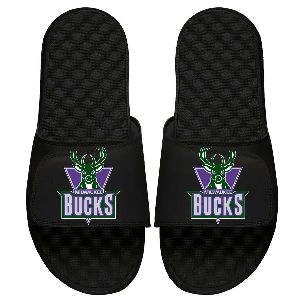 Milwaukee Bucks HWC Primary Slides 1