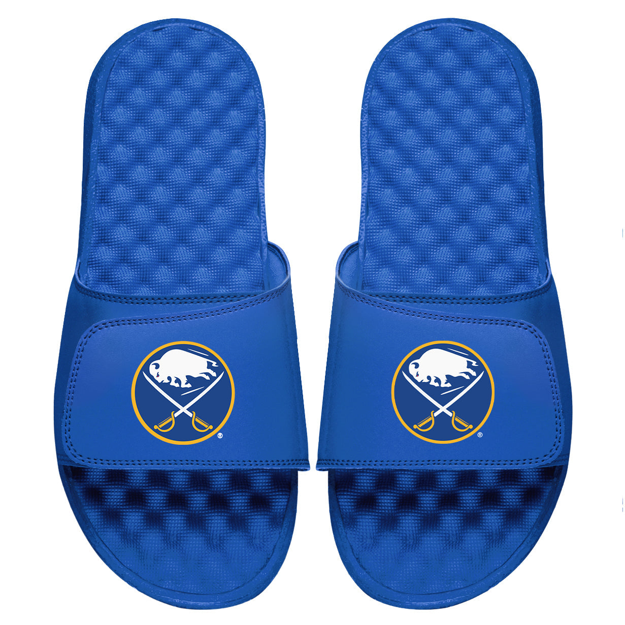 Buffalo Sabres Primary Logo Slides 3