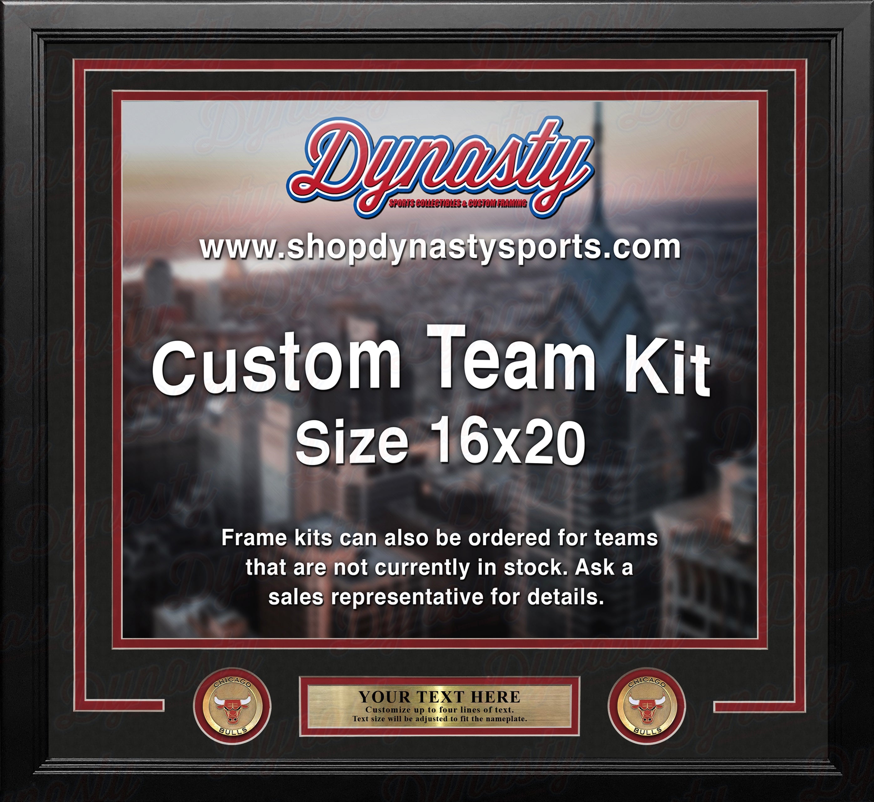 Chicago Bulls Custom NBA Basketball 16x20 Picture Frame Kit (Multiple Colors) 2