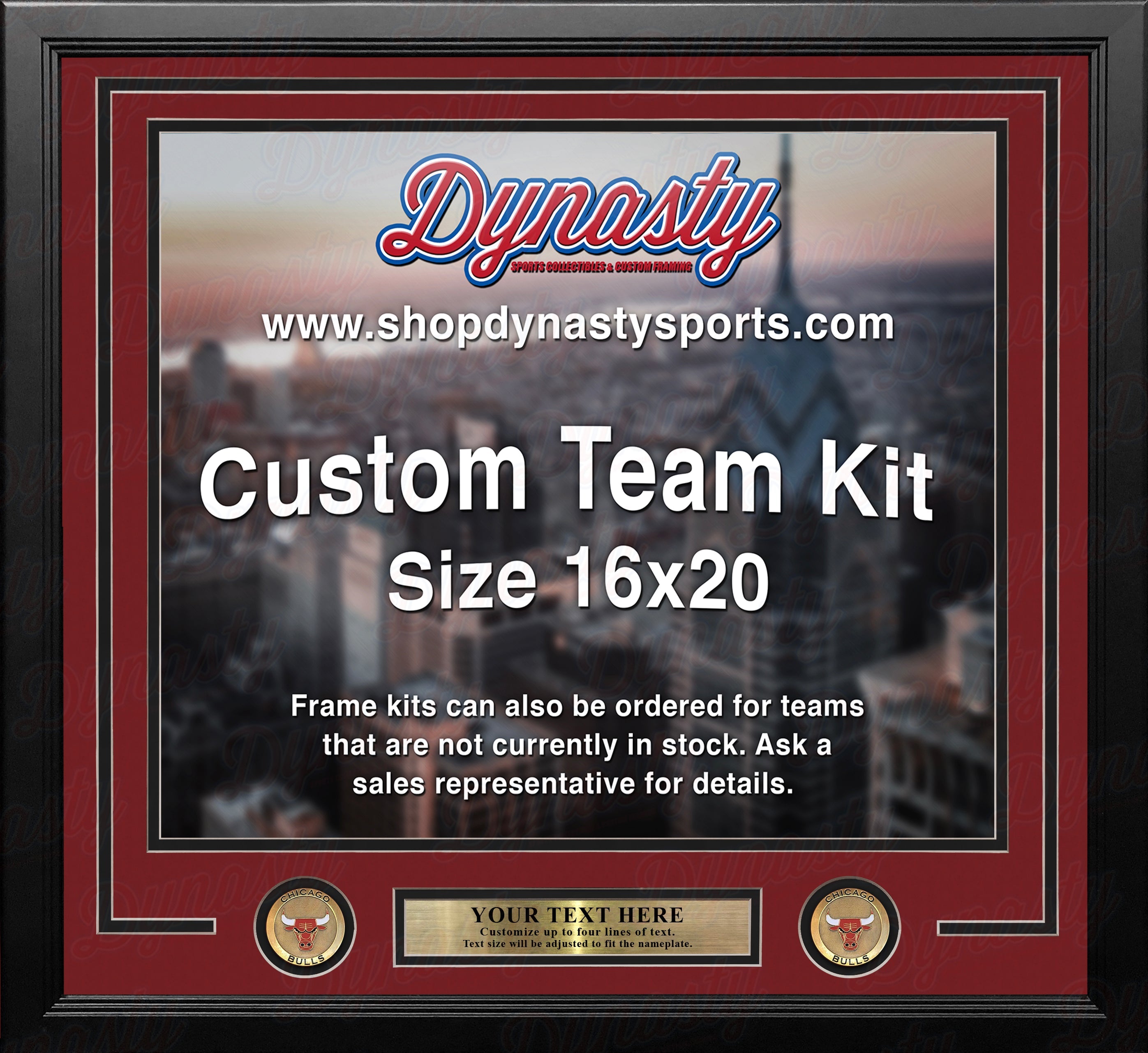 Chicago Bulls Custom NBA Basketball 16x20 Picture Frame Kit (Multiple Colors) 1