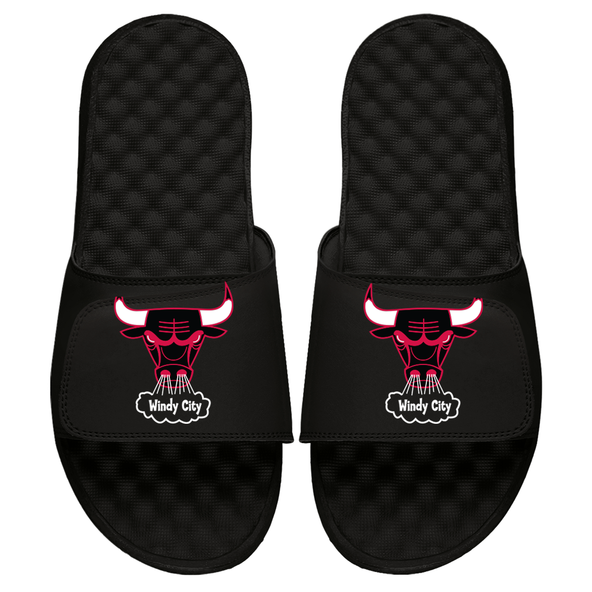 Chicago Bulls HWC Primary Slides 2