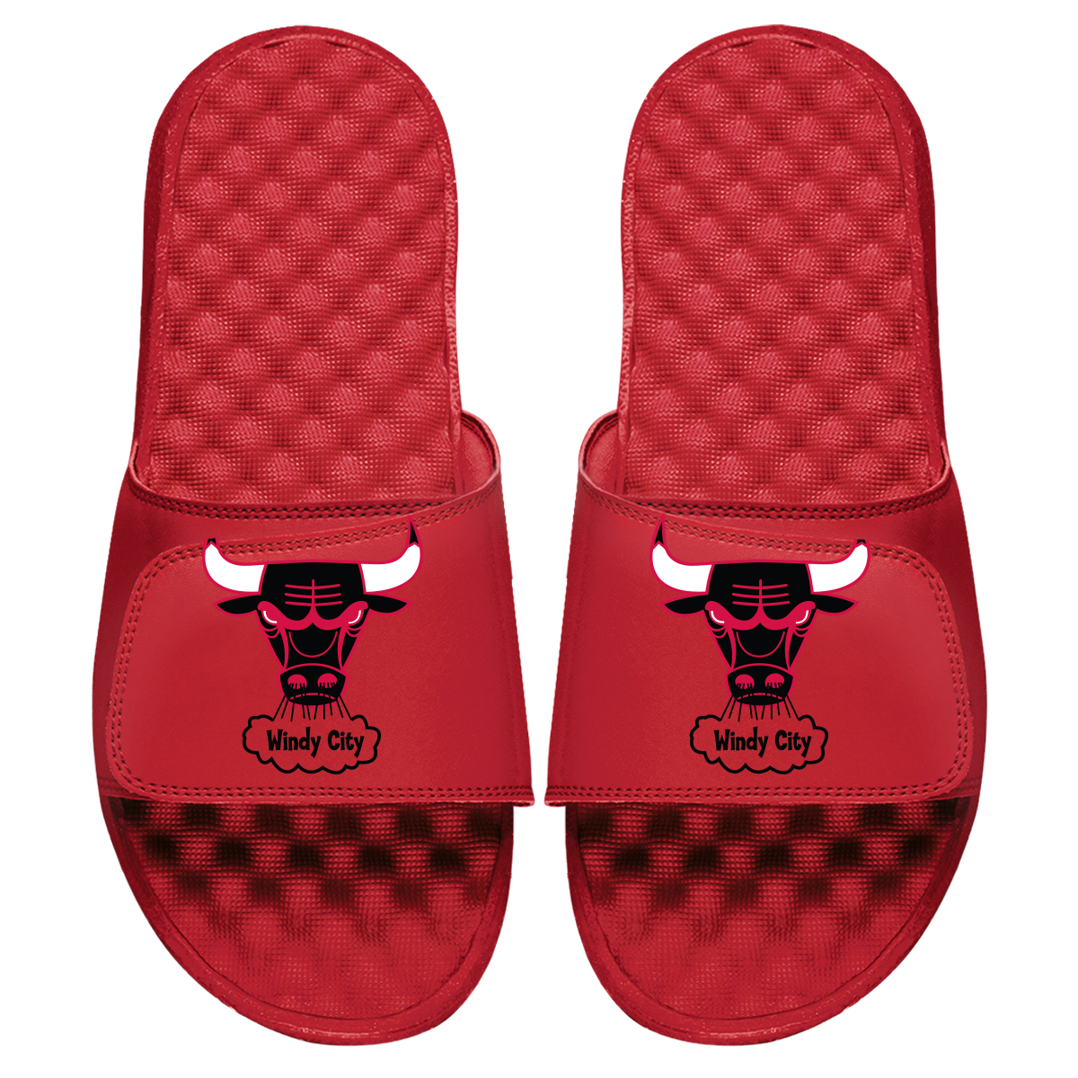 Chicago Bulls HWC Primary Slides 1